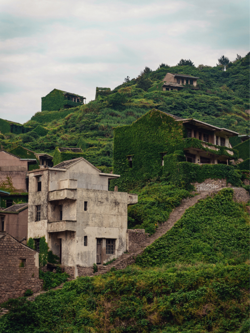 嵊泗无人村 绿野仙踪还是荒岛孤魂 95嵊泗无人村的植被到了一年之中