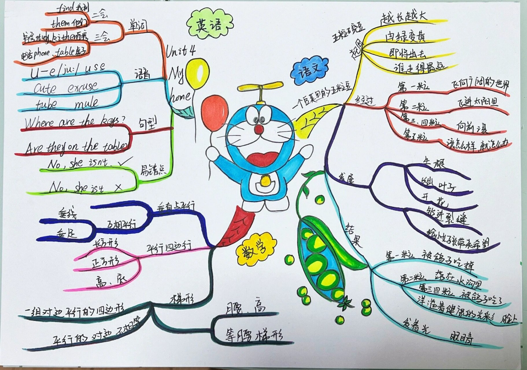 四年级上册数学语文英语思维导图