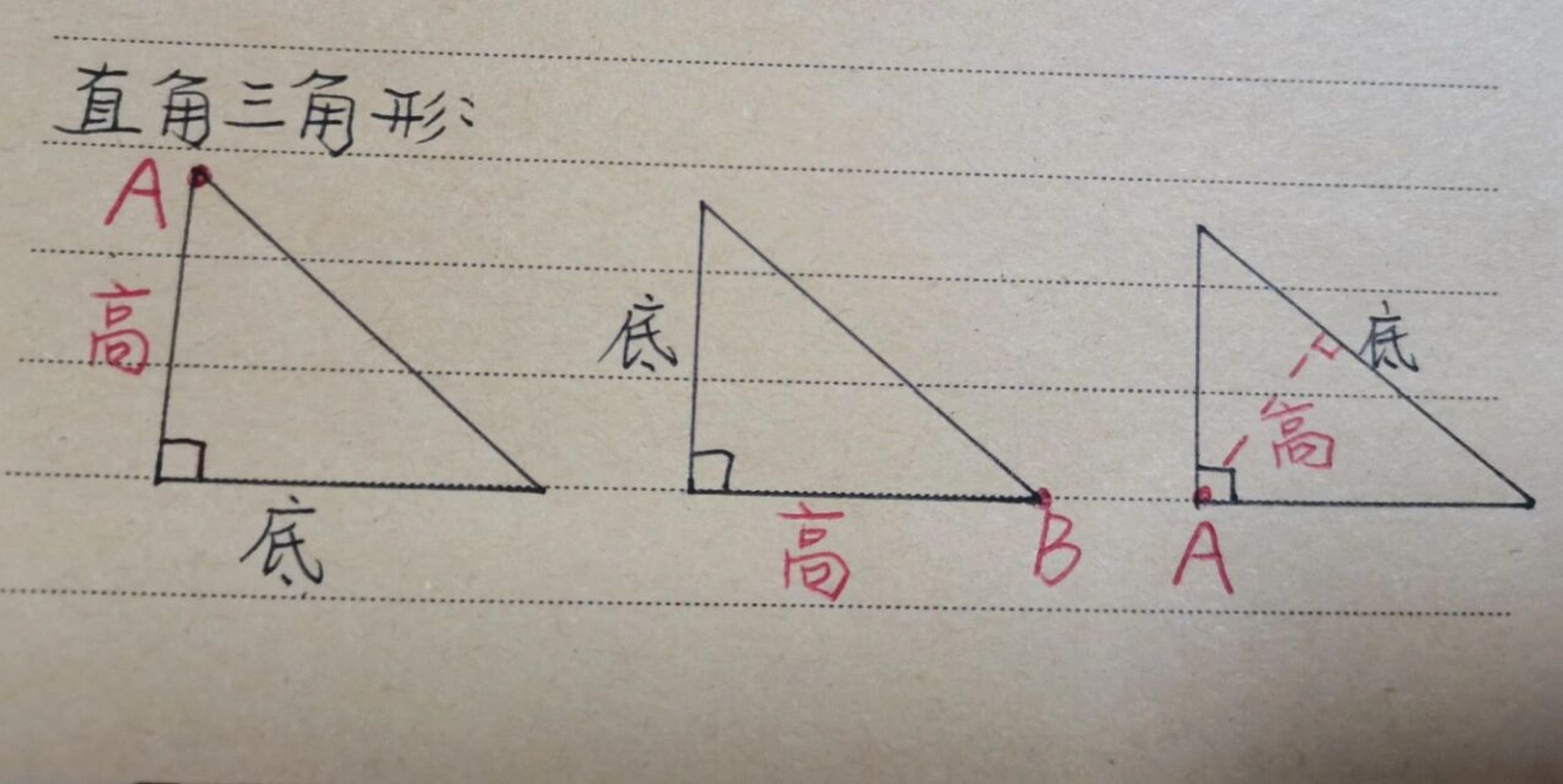 四年级下册三角形的高,很多孩子们不会画,关键点在于找到对应底的顶点