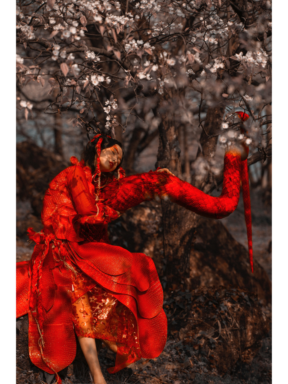 《山海经》之 蝡蛇 有灵蛇在树上,名曰 蝡蛇,木食 尾巴和服装不是后期