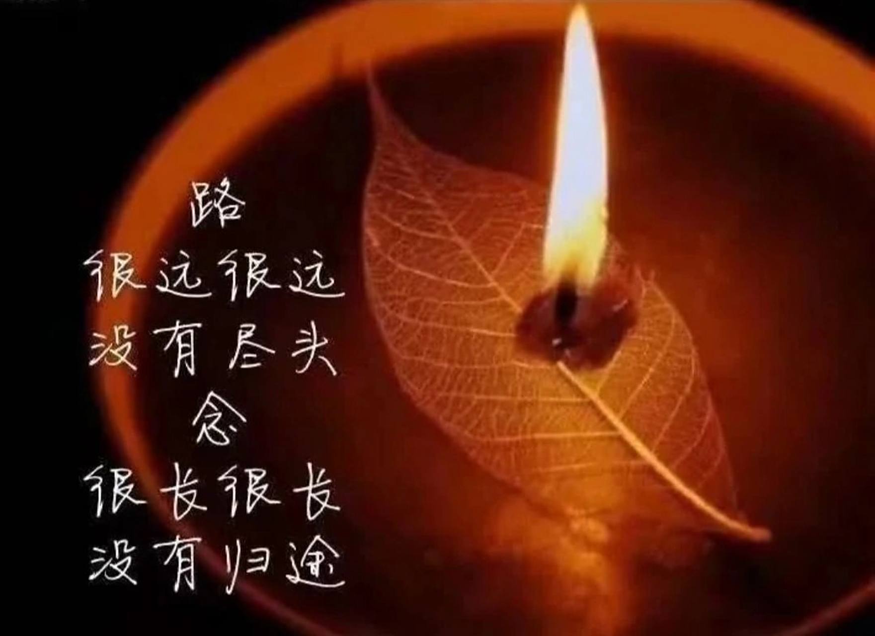 天堂里没有病痛, 愿一路走好. 如有来世, 切不可苦了自己.