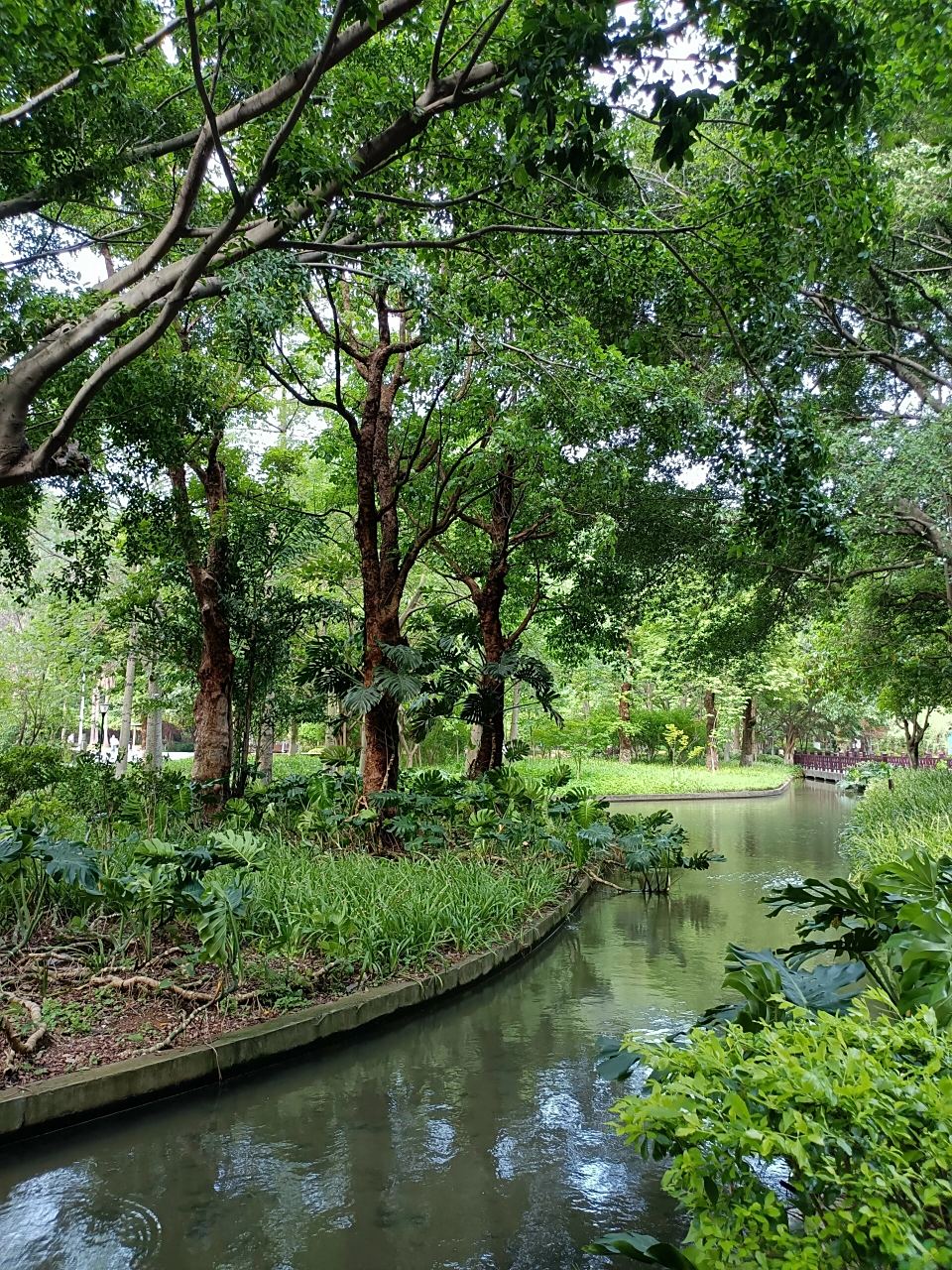 柳州·蟠龙山公园097300 蟠龙山公园~瀑布蓄水平台, 像一面镜子