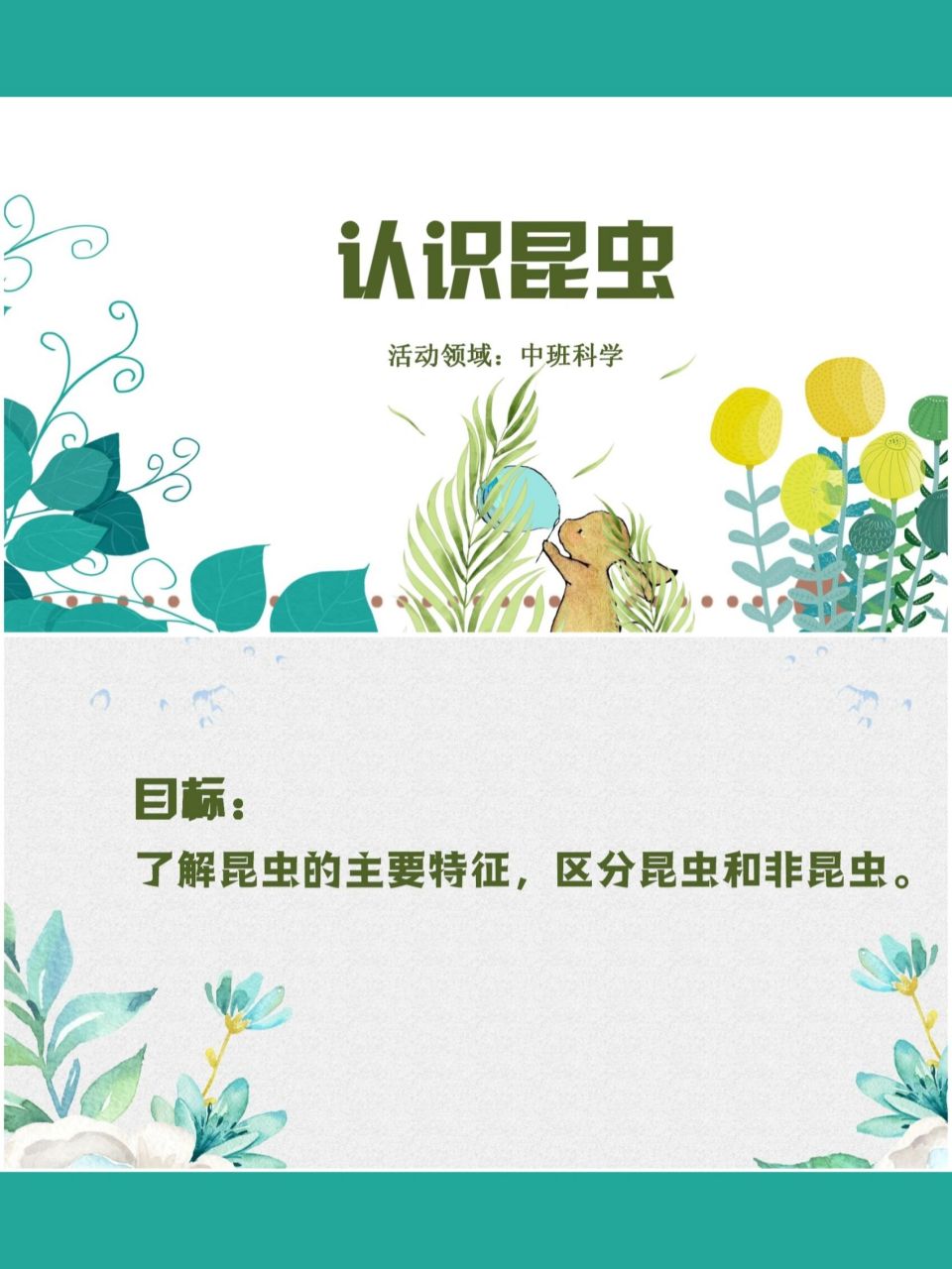 幼儿园中班科学微课《认识昆虫》提高探索兴趣 幼儿园中班科学微课