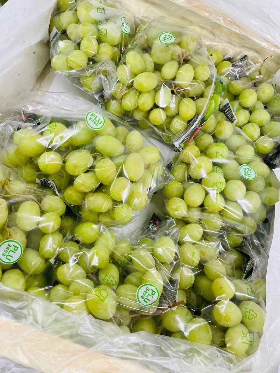 秋天脆青提78爽脆 新晋的网红水果秋天脆青提 不用担心吐籽的烦恼