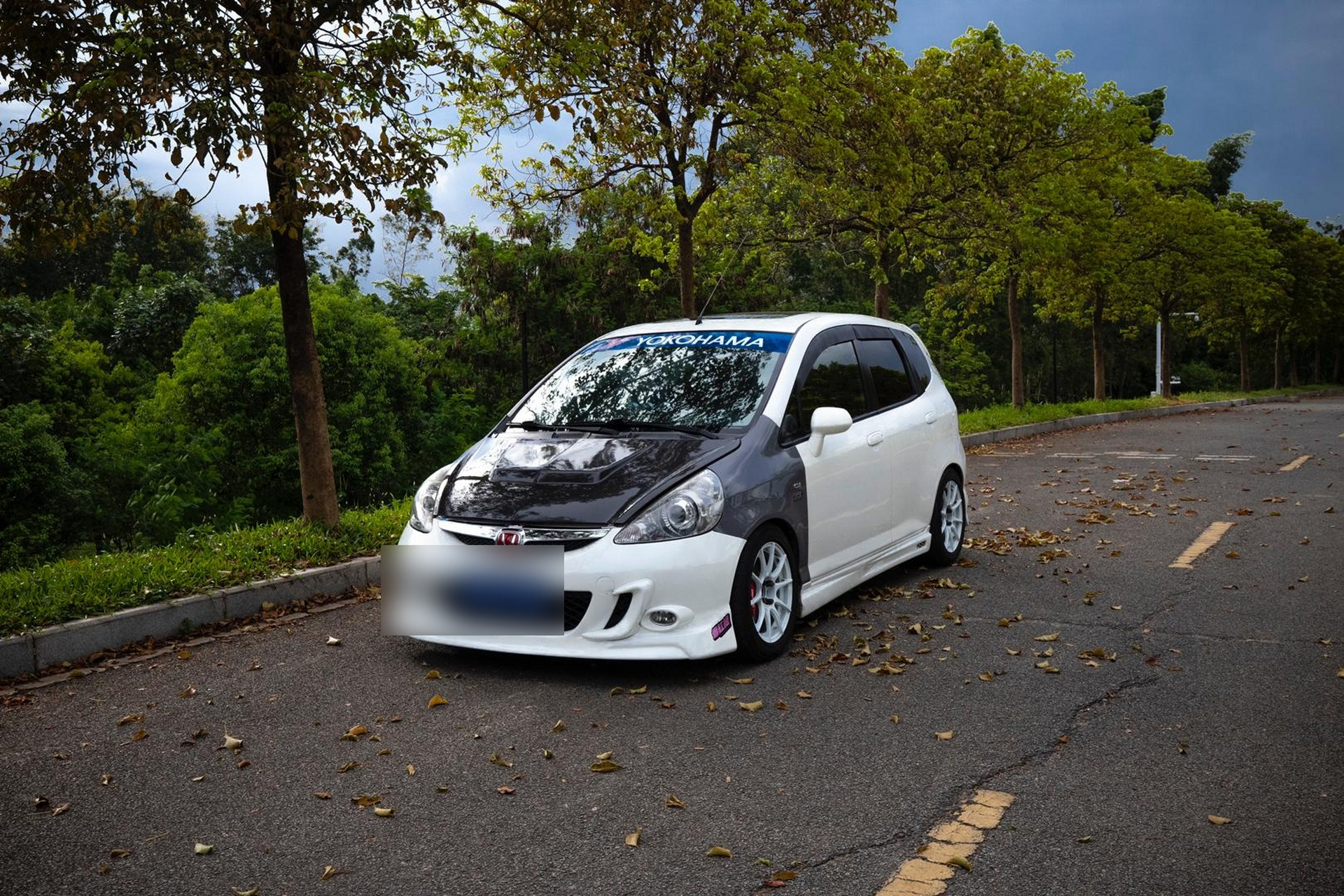 来自大东哥的飞度gd3姿态改装案例.