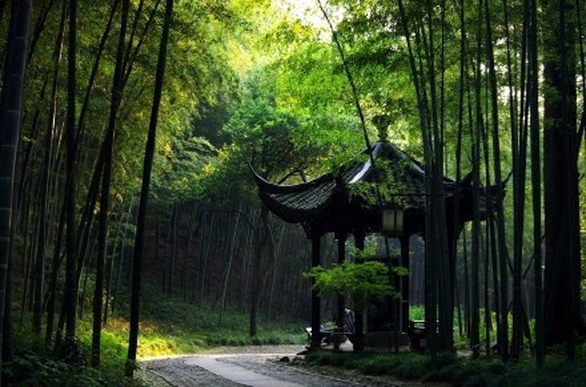 是杭州"新西湖十景"中难得的一处万千茂竹,叮咚溪泉的幽静地点,竹林