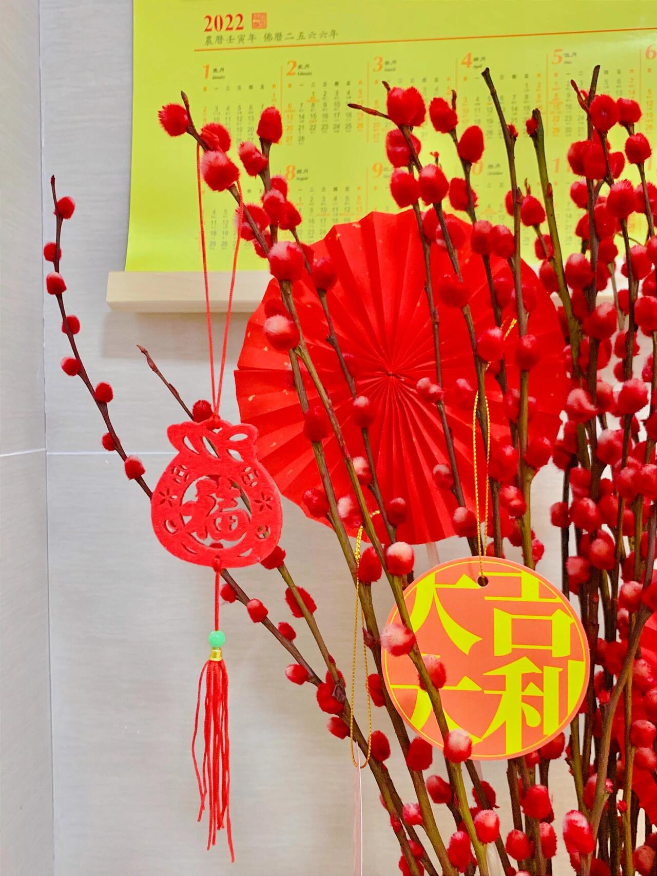 年宵花|红色银柳 过年必然少不了这一抹中国红!