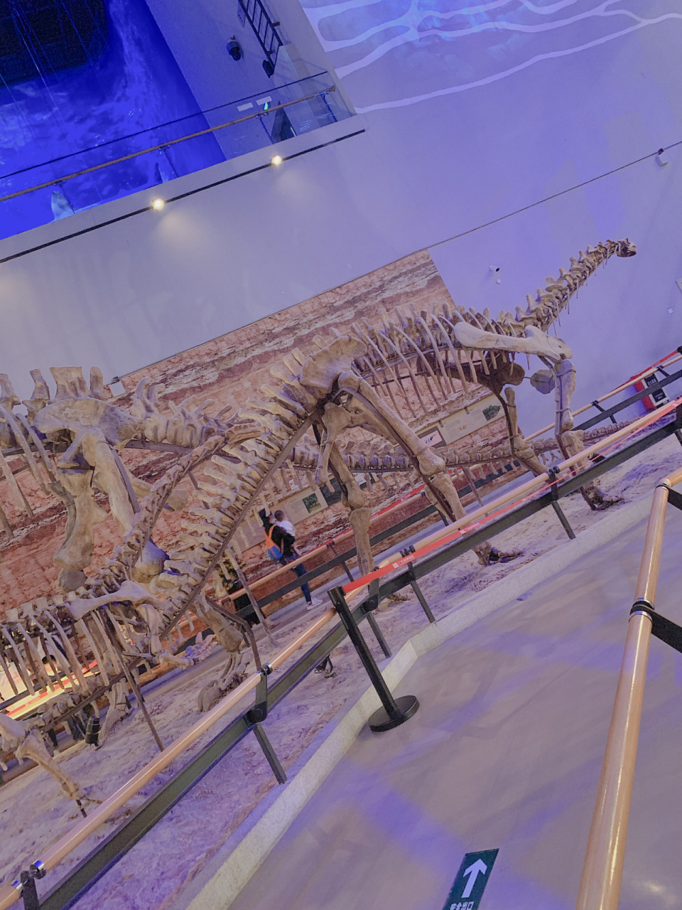 广东省博物馆|带娃去看恐龙世界~ 广东省博物馆位于广州市天河区珠江