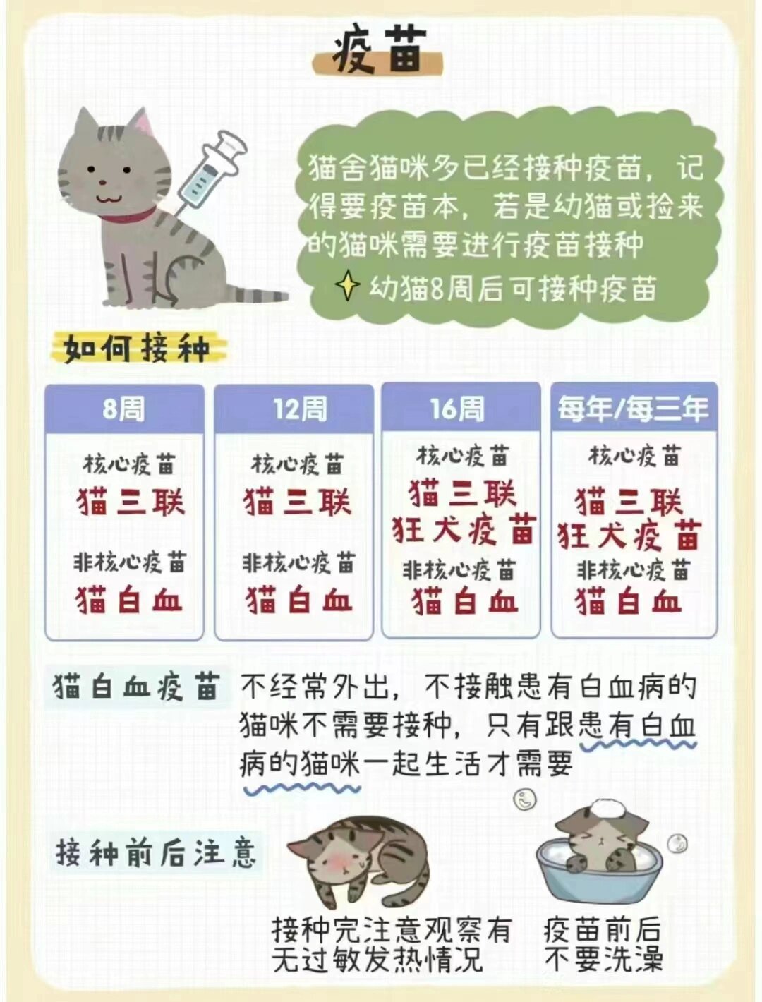 猫打疫苗多少钱图片