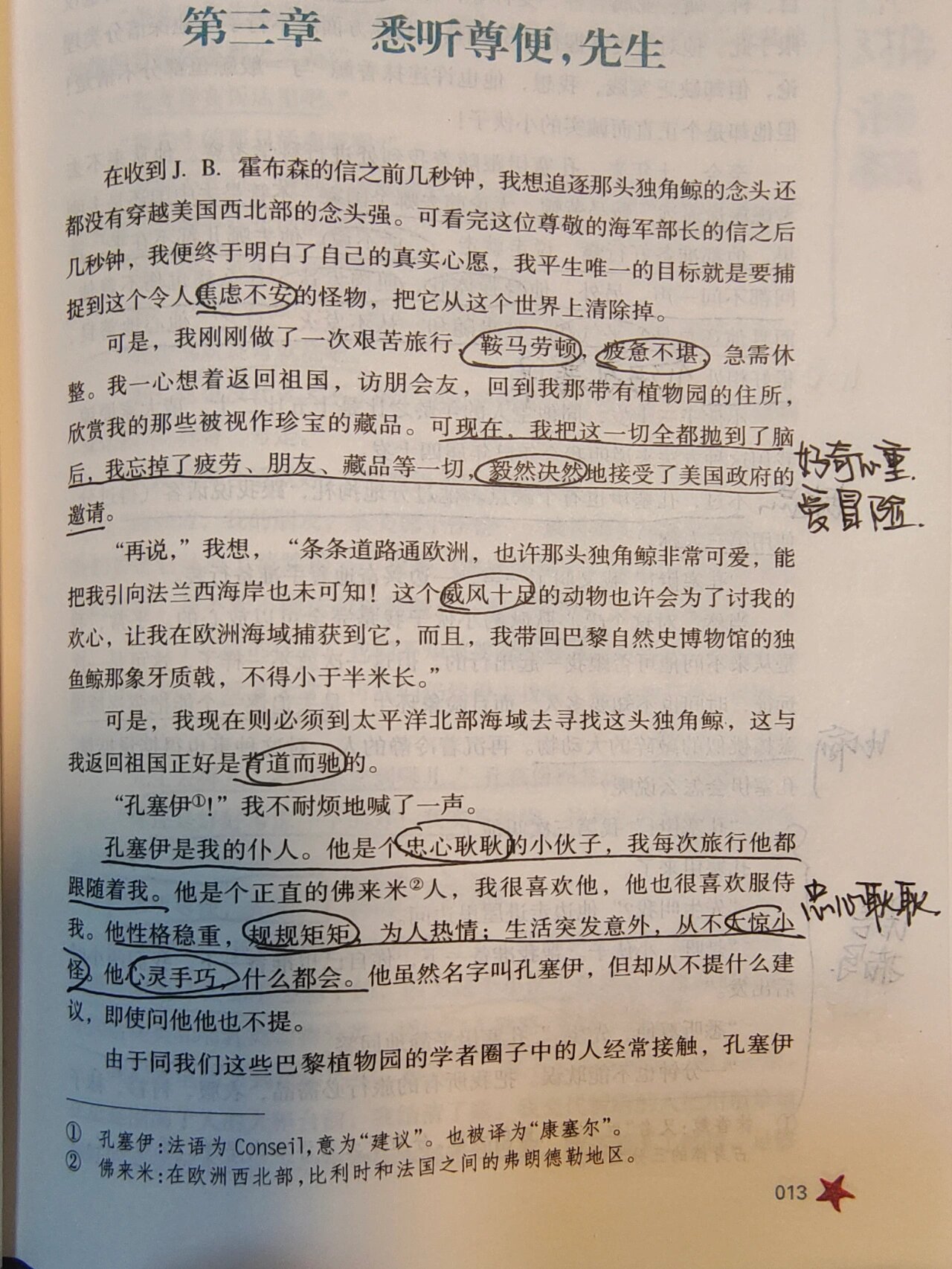 孔塞伊图片图片