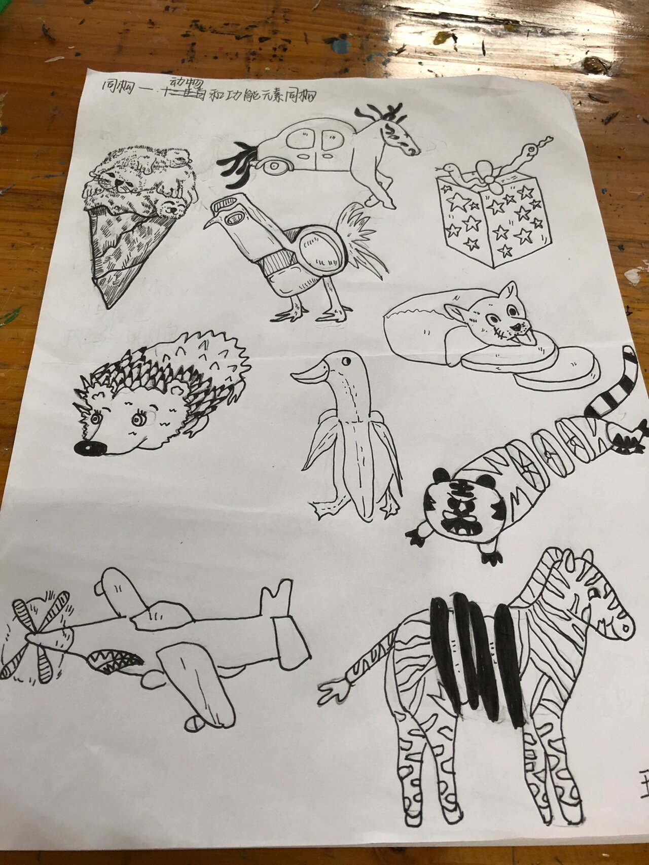 动物功能同构 图形创意 同构