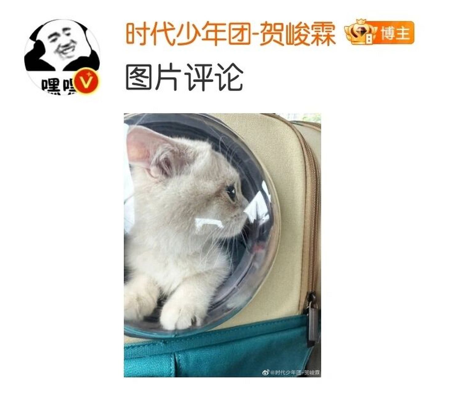 富贵真的好可爱! #tnt时代少年团# #贺峻霖