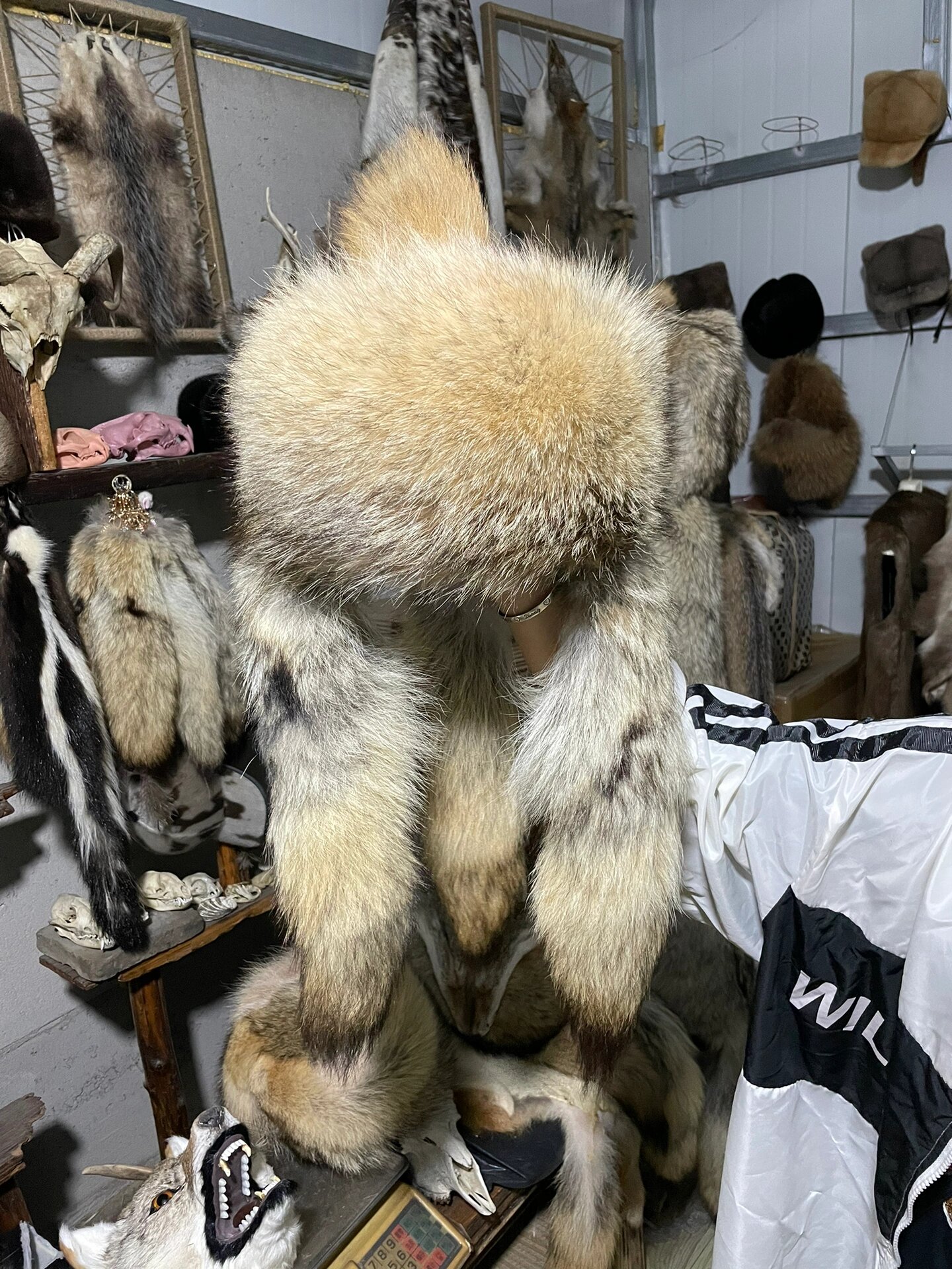 狼皮帽 冬季保暖 霸气狼皮帽三根大尾巴