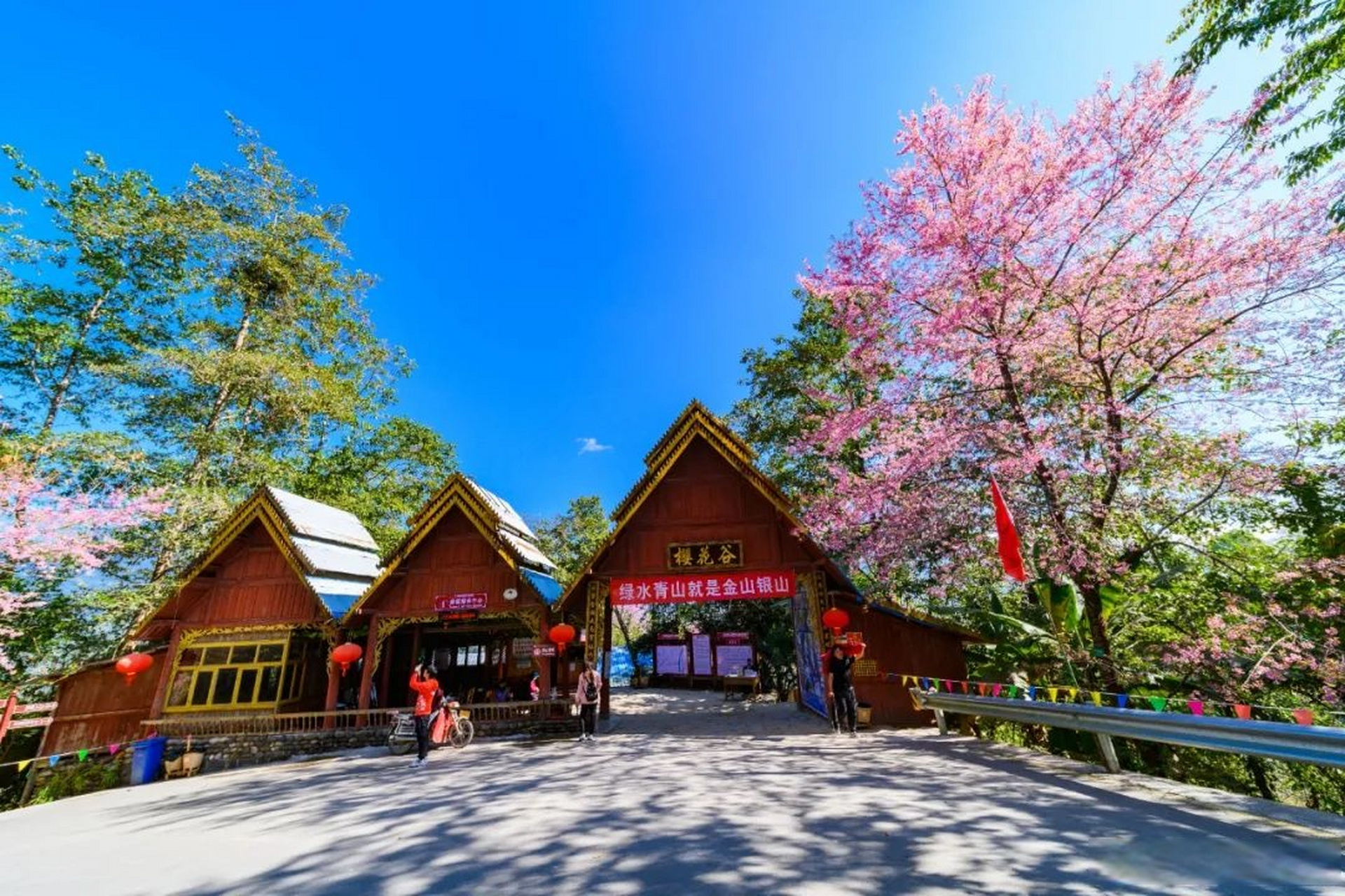 腾冲樱花谷温泉门票图片