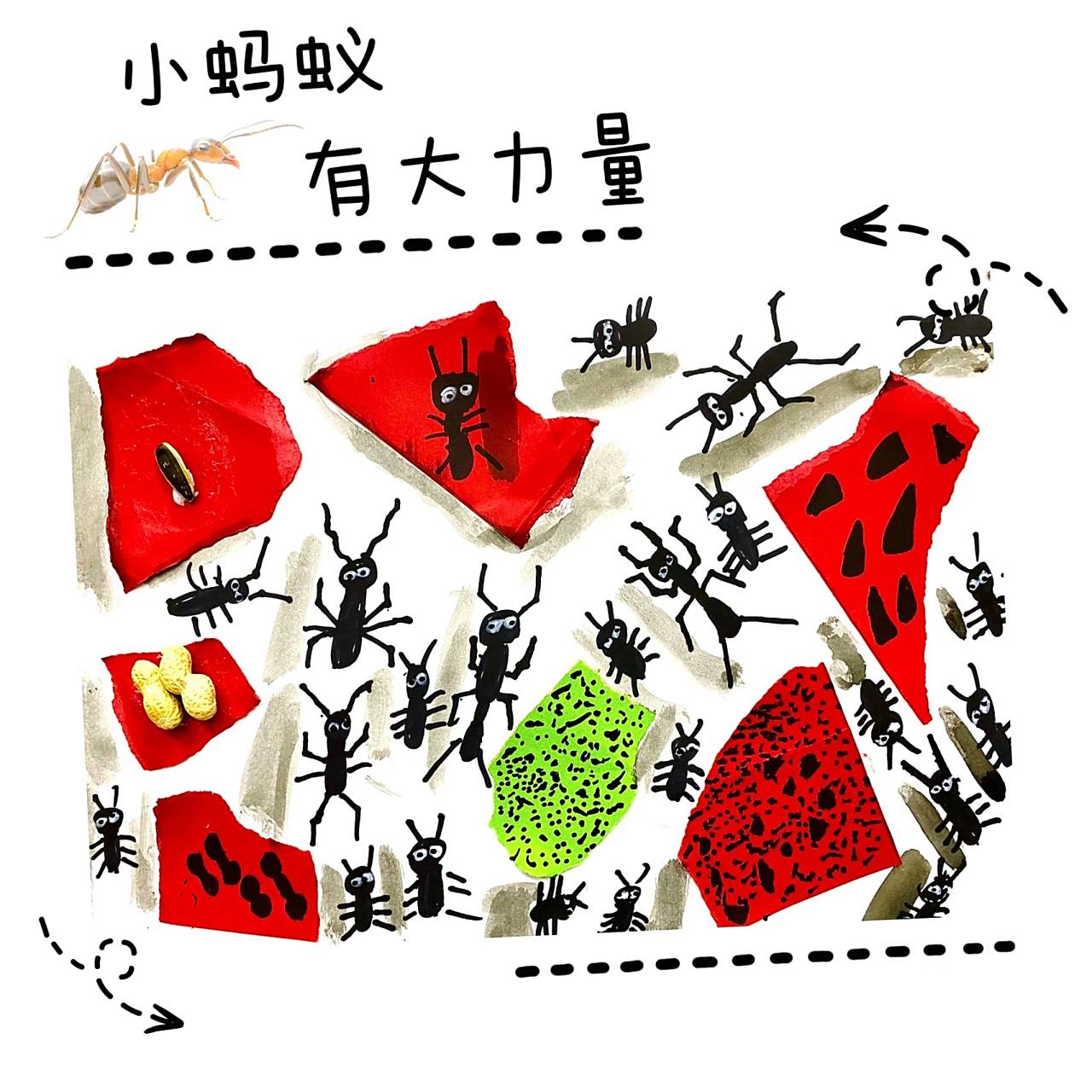 蚂蚁为典型的社会性群体,它们分工明确,蚁后,雌蚁及雄蚁一般负责繁育