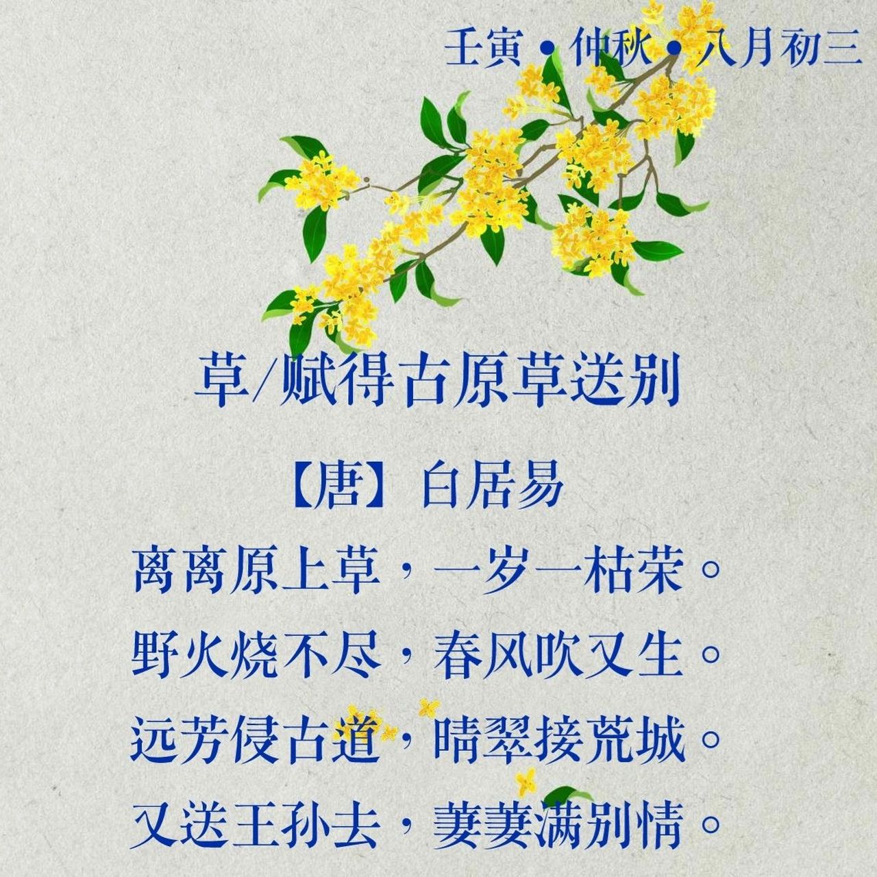 每日诗词135|白居易《草/赋得古原草送别》 译文:田野之上的绿草是