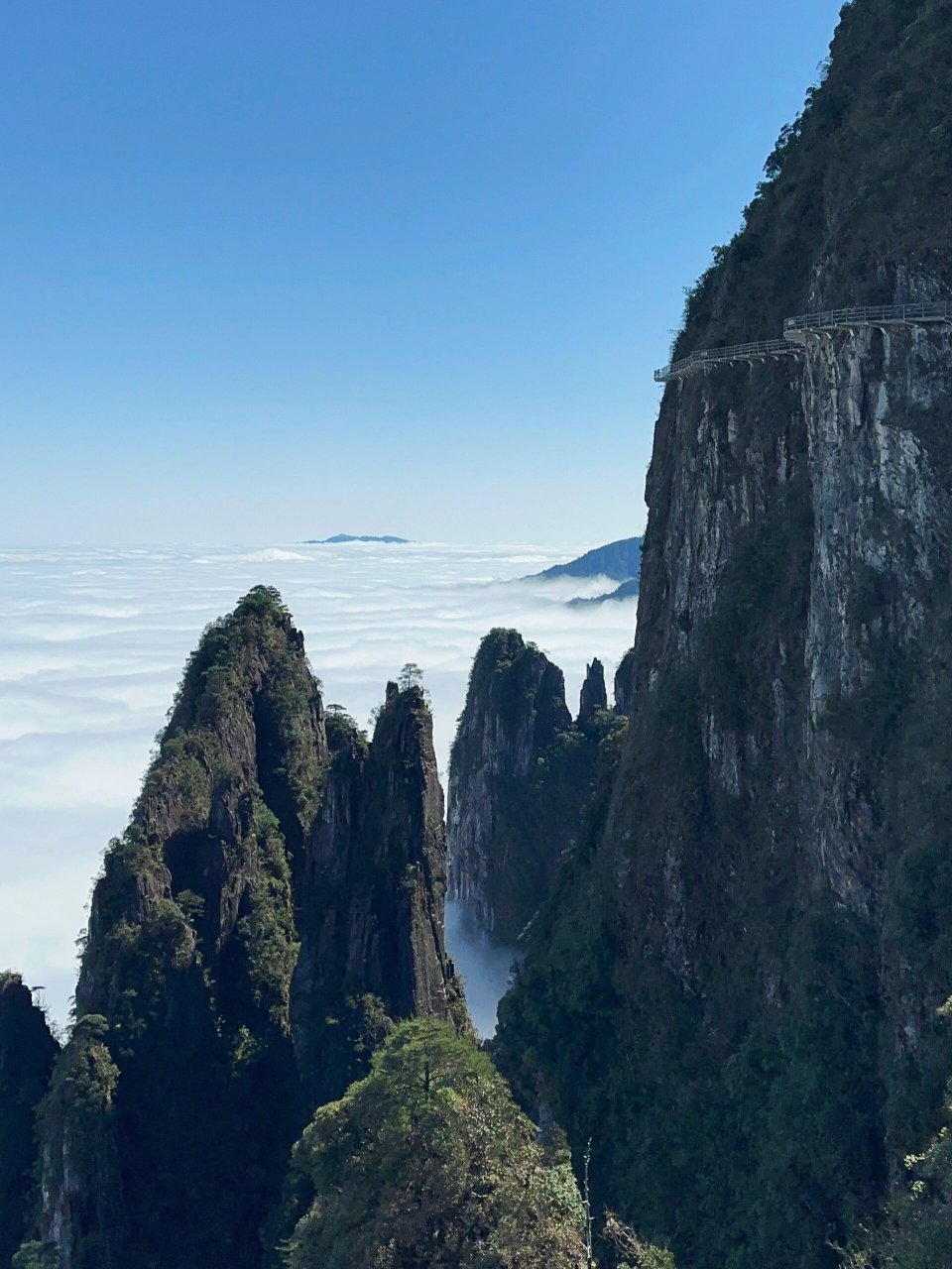 发车啦75发车啦75 郴州市至莽山五指峰景区的旅游直通车将于4月