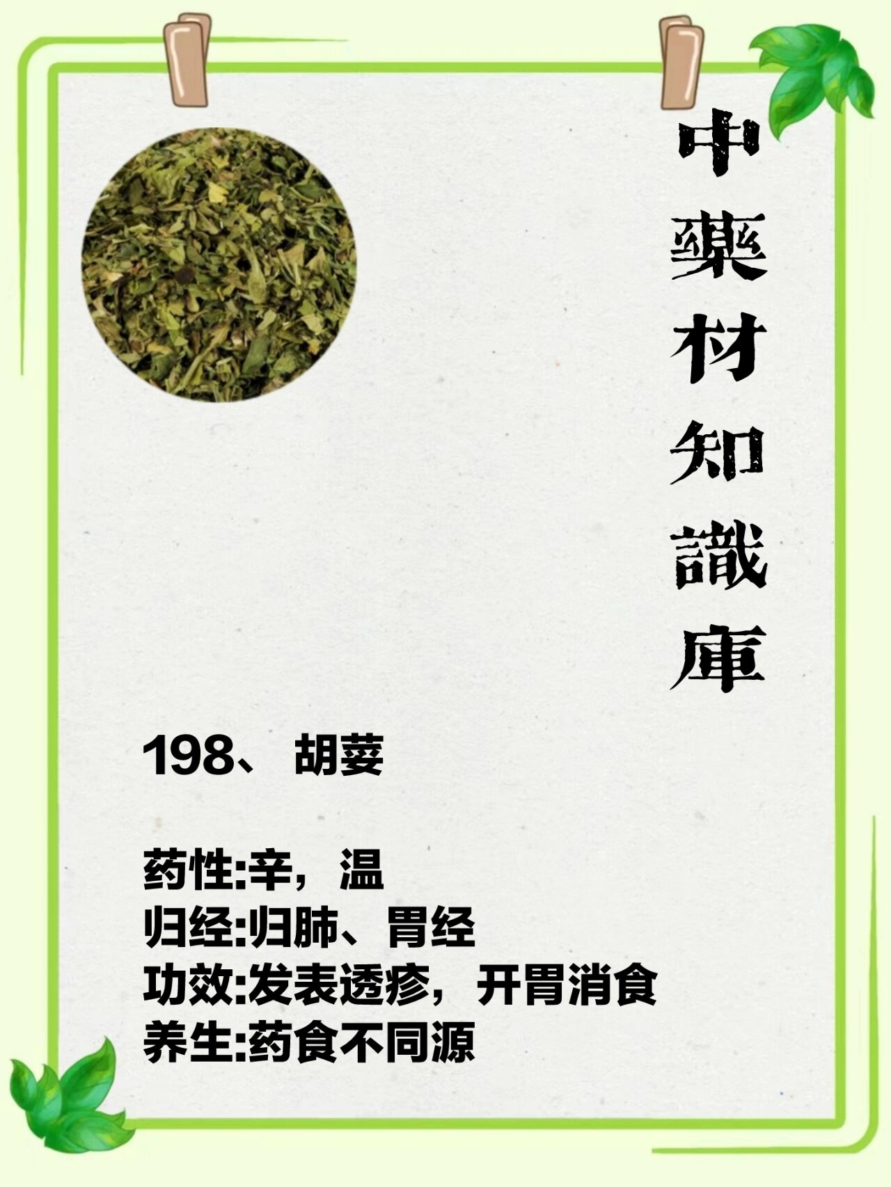198, 胡荽 药性:辛,温 归经:归肺,胃经 功效:发表透疹,开胃消食 主治