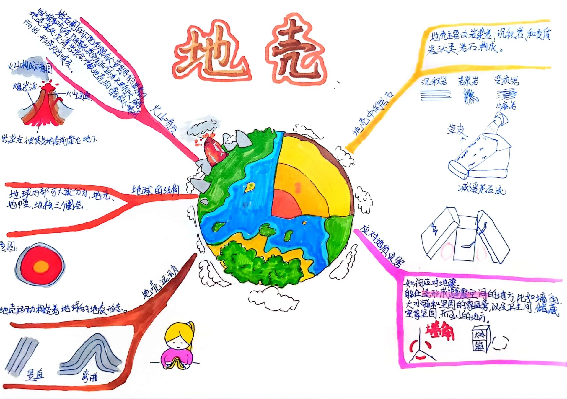 思维导图科学五年级图片