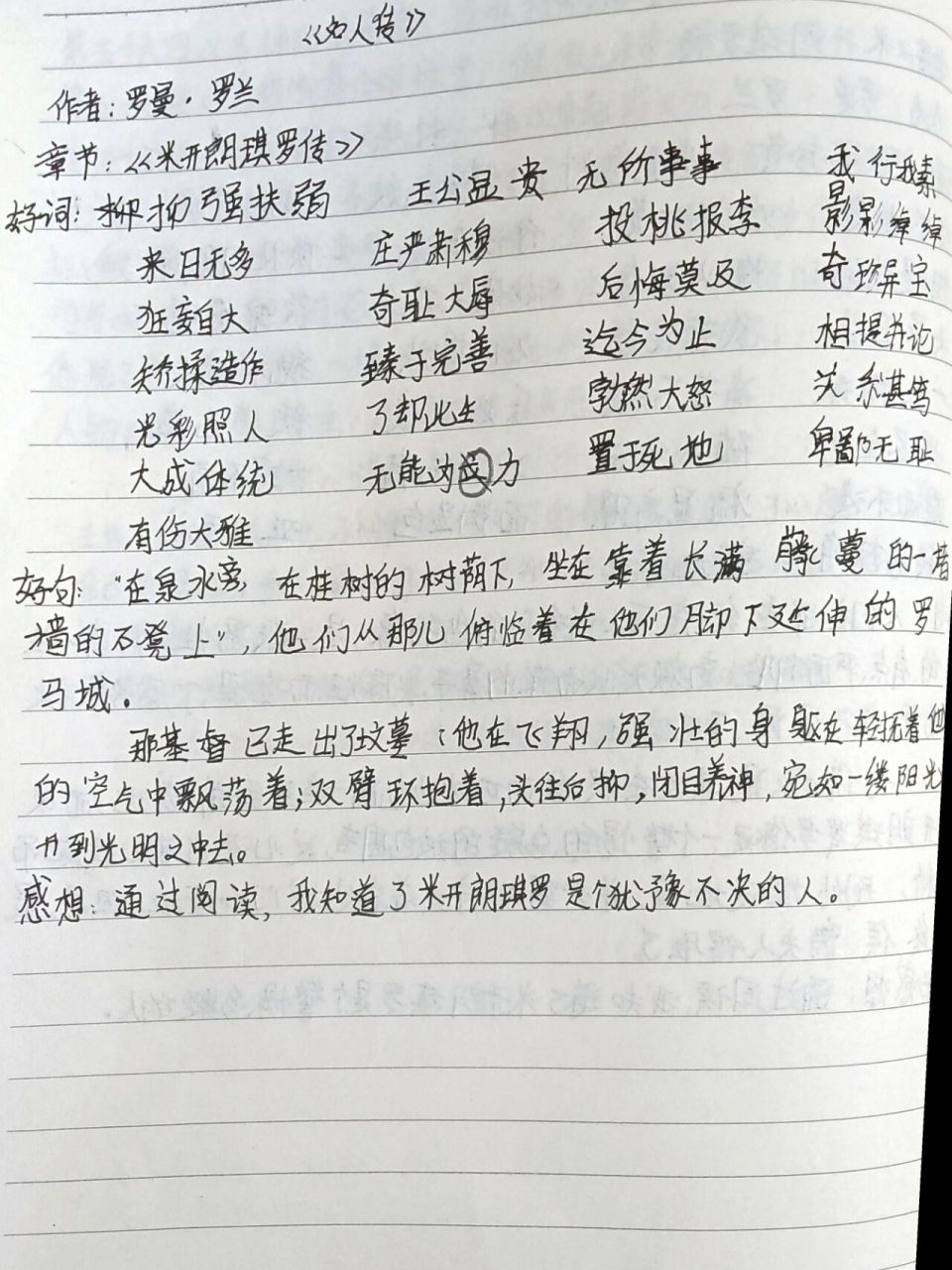 《名人传》读书笔记 《米开朗琪罗传》第五篇,第六篇∽ 	 这字应该