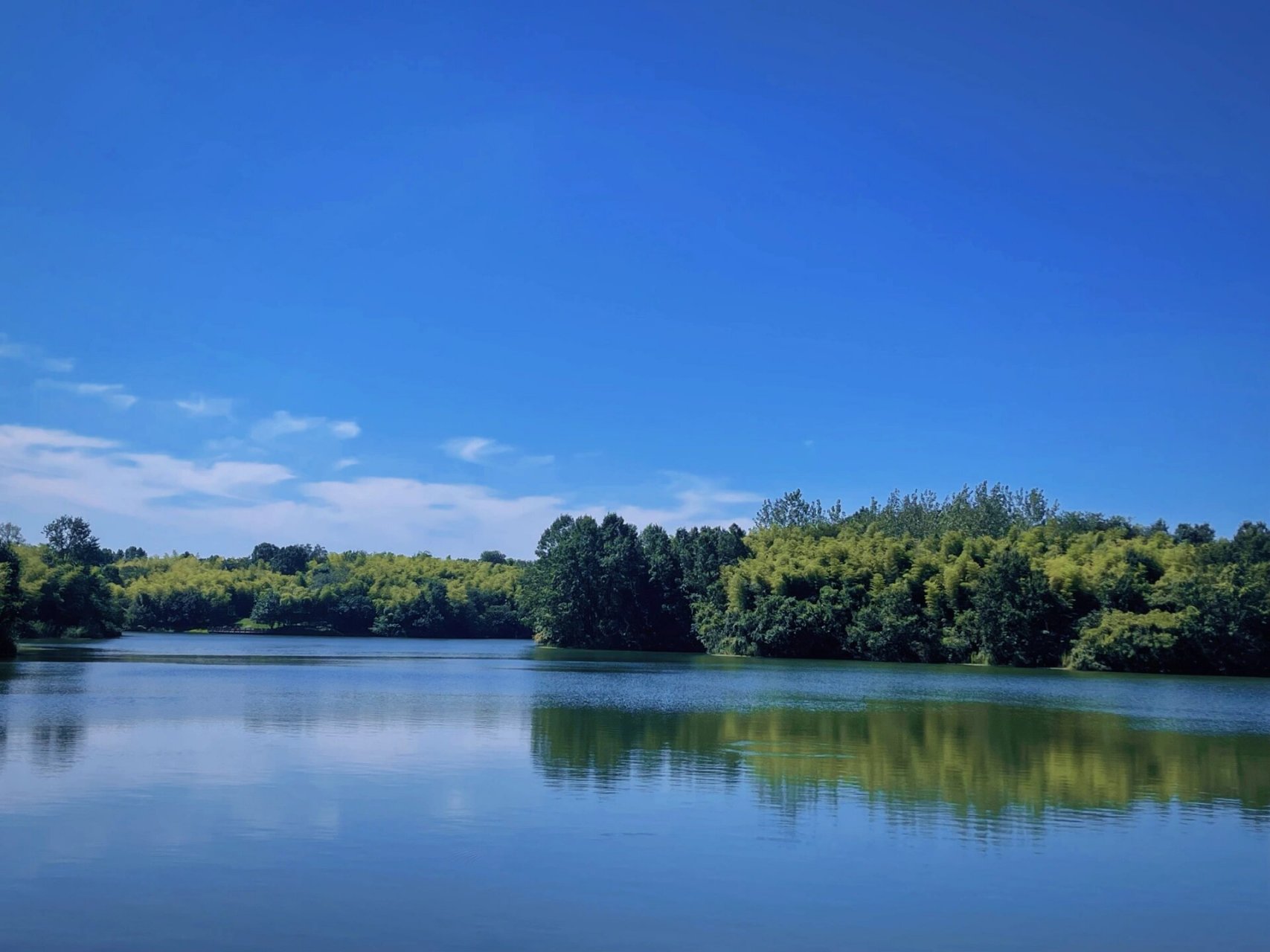 不是在国外6015就在仪征 99仪征"龙山风景区 	 没想到在城市的