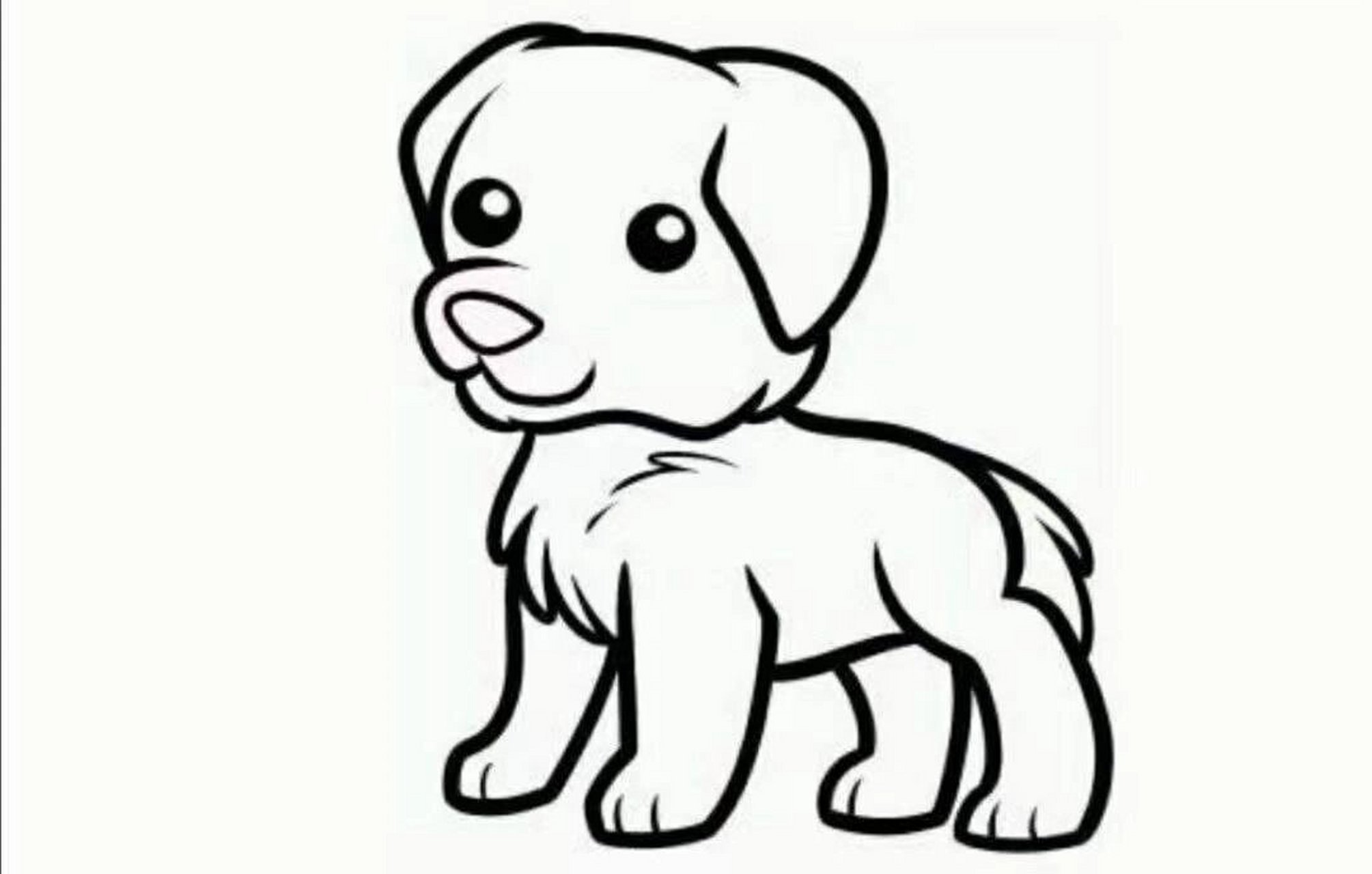 幼儿园小班动物涂色简笔画 动物简笔画