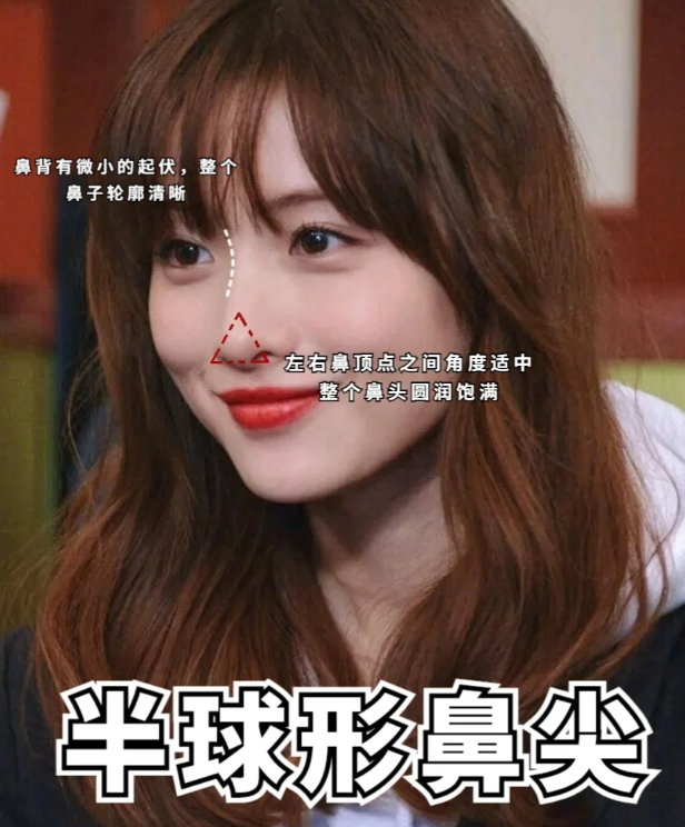 偏下盒装鼻图片尖鼻头和圆鼻头的区别为什么说一个人的五官鼻子很重要