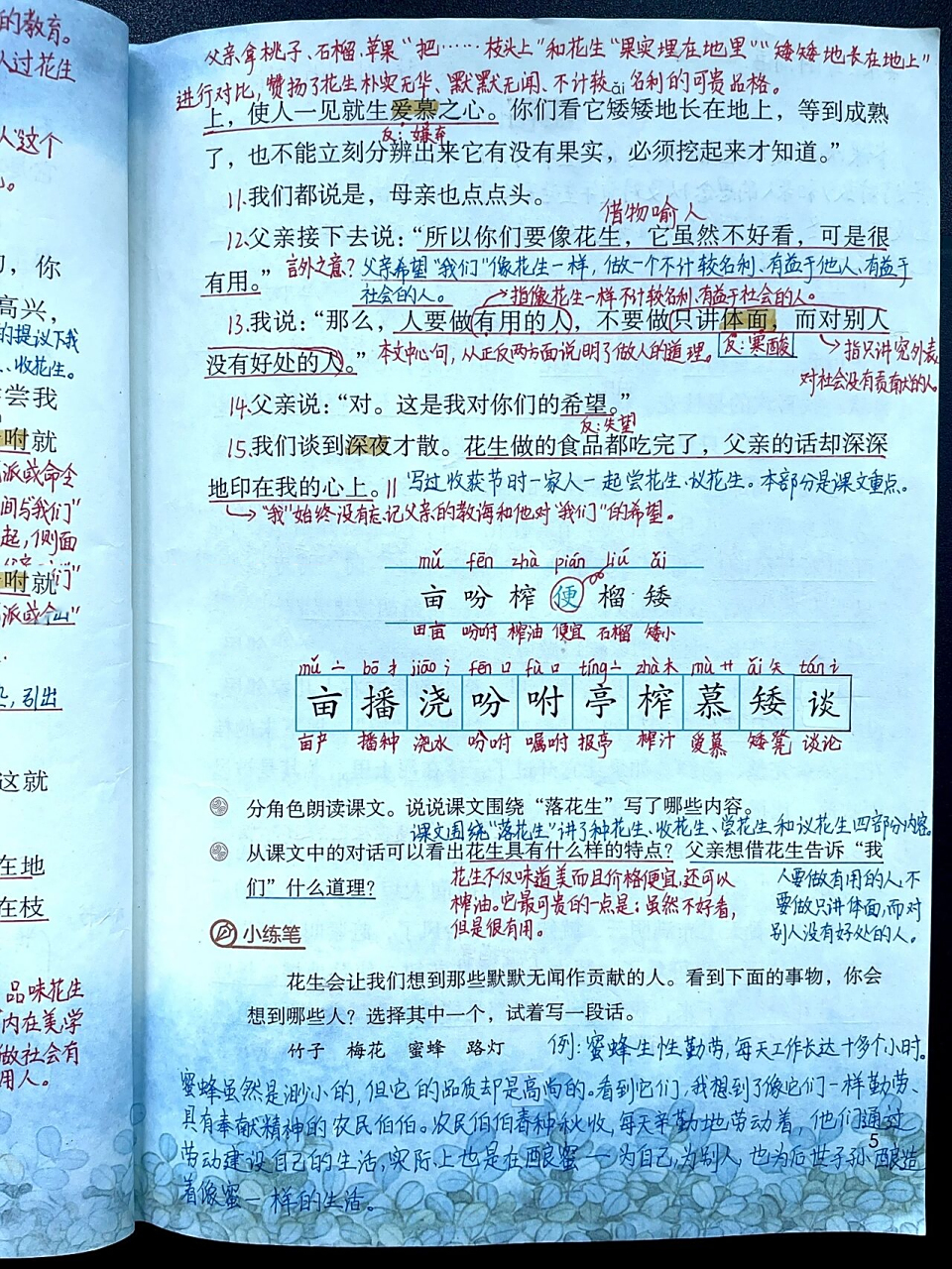 五上|五年级上册第2课《落花生》课文笔记 小学语文五年级上册第2课