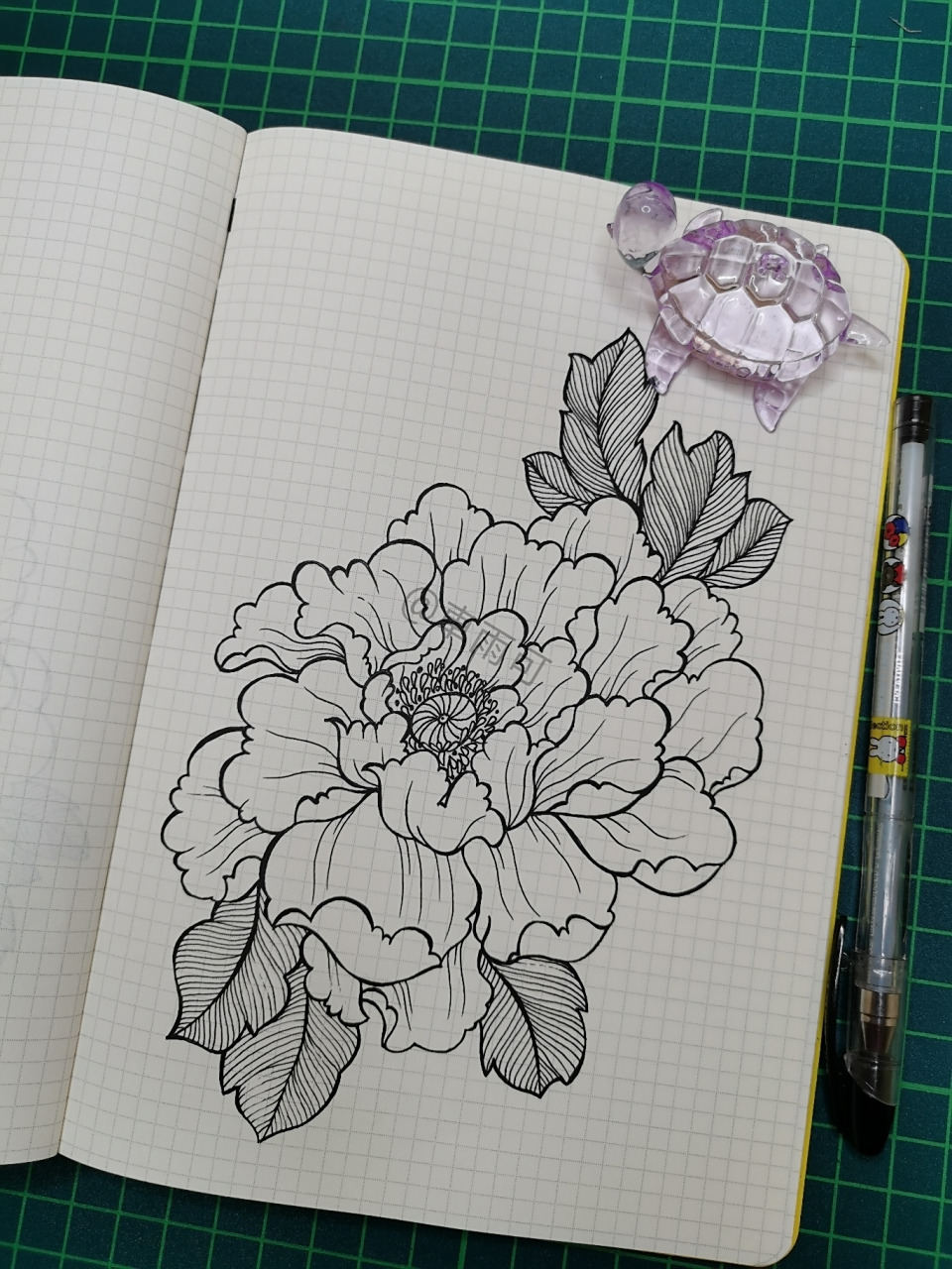 120|线描画|牡丹花 一组牡丹花的练习 	 针管笔|手绘|线描画|花卉