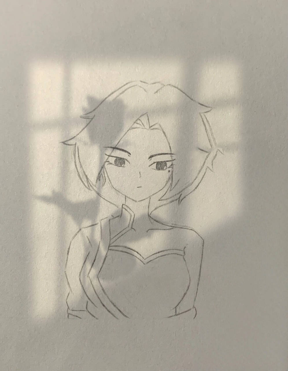 梅花十一
