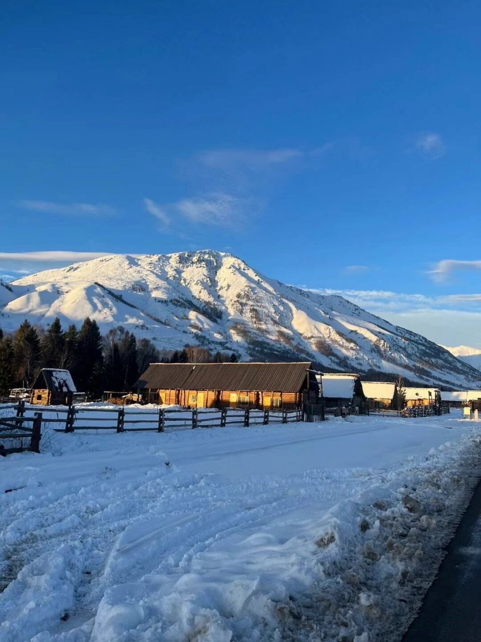 冬游天花板-新疆6015激情项目77漫游雪乡7815旅拍 #我的