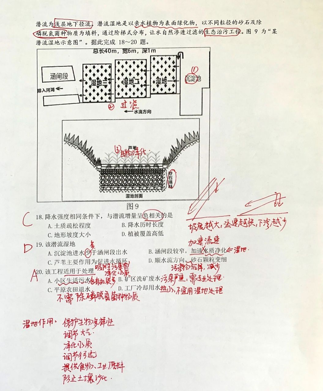 湿地成因图片