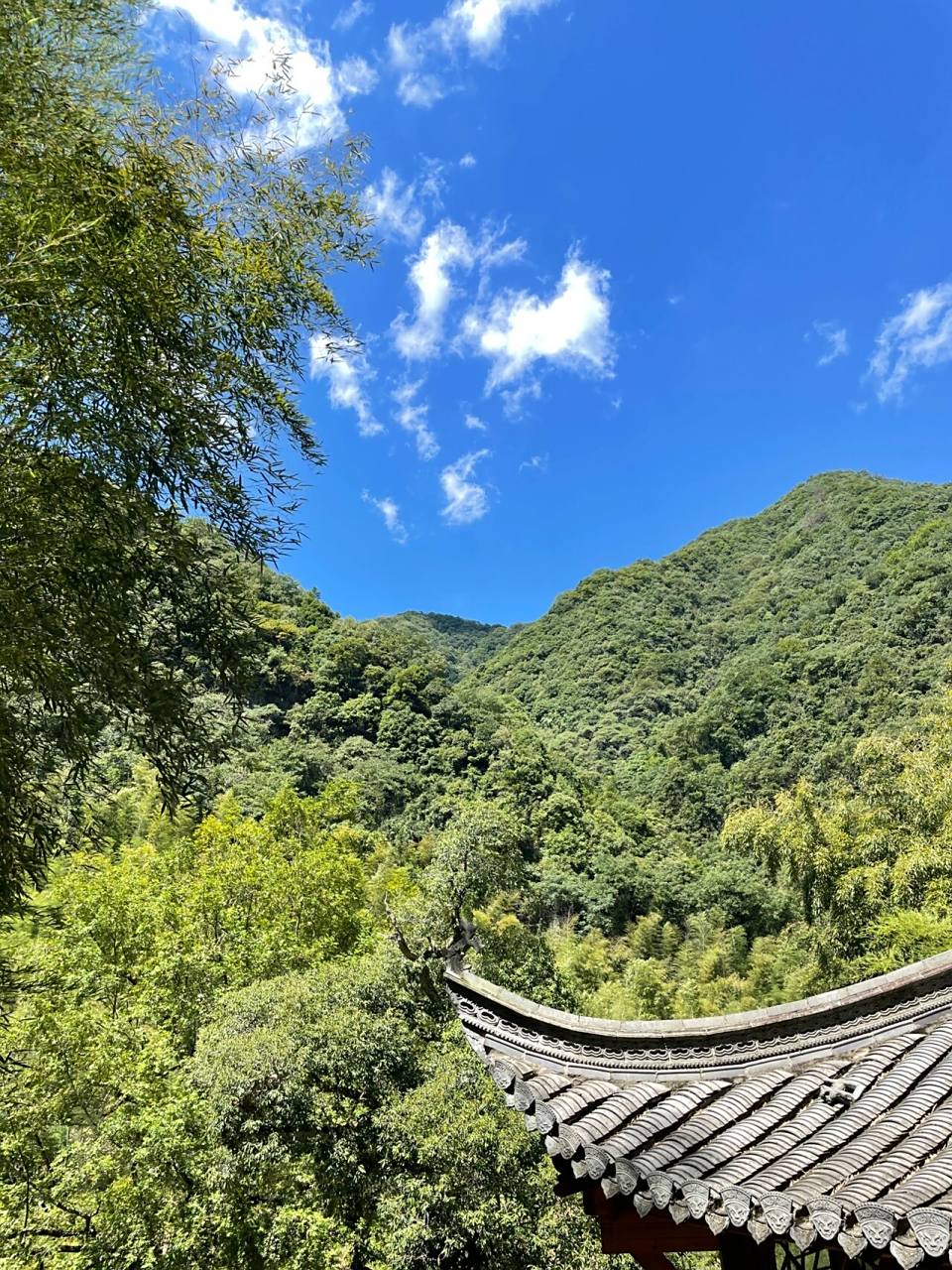 水墨汀溪|夏日玩水|泾县水墨汀溪风景区 今年基本上都没有水,沿途经过