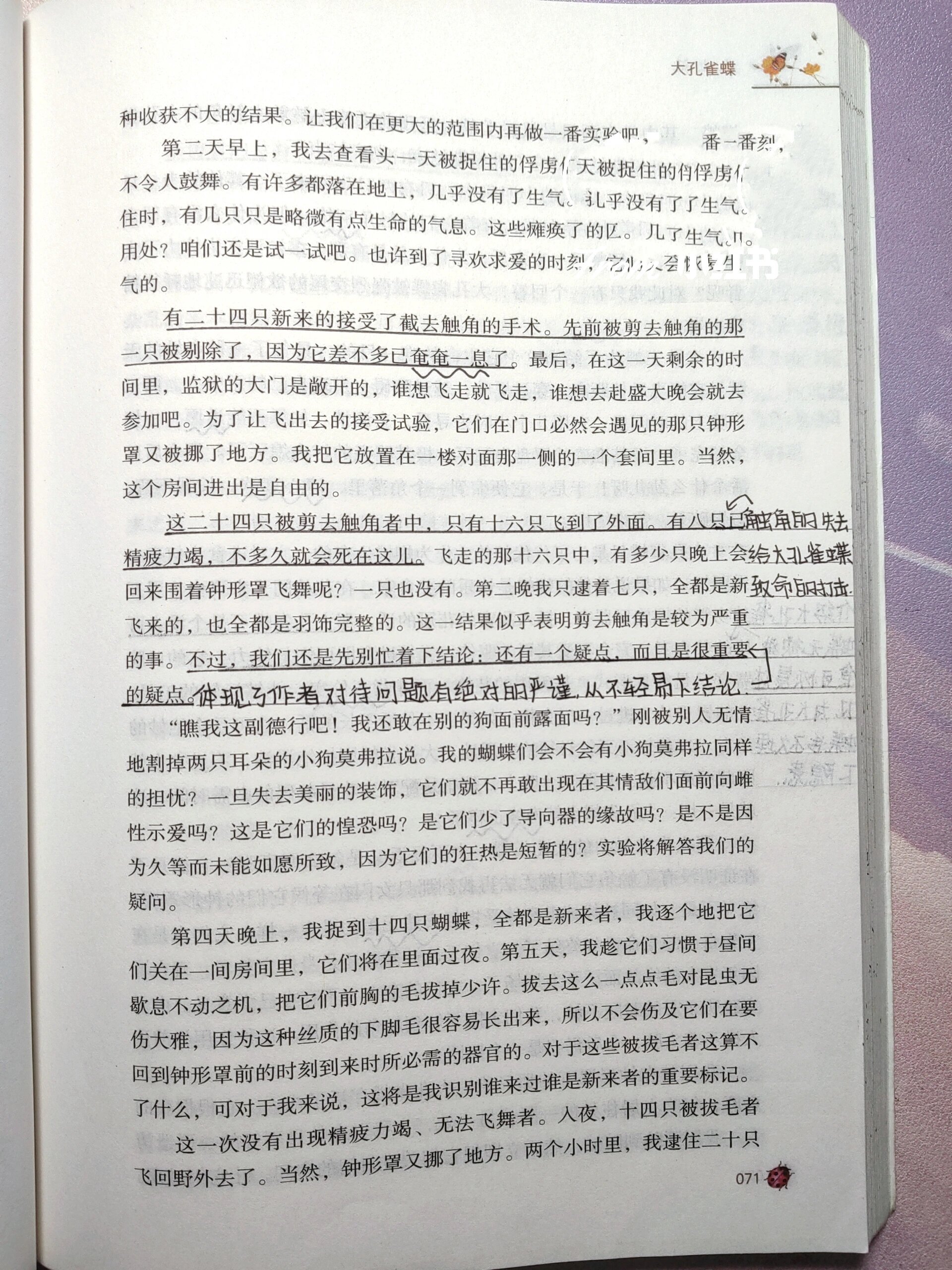 —昆虫的习性:大孔雀蝶