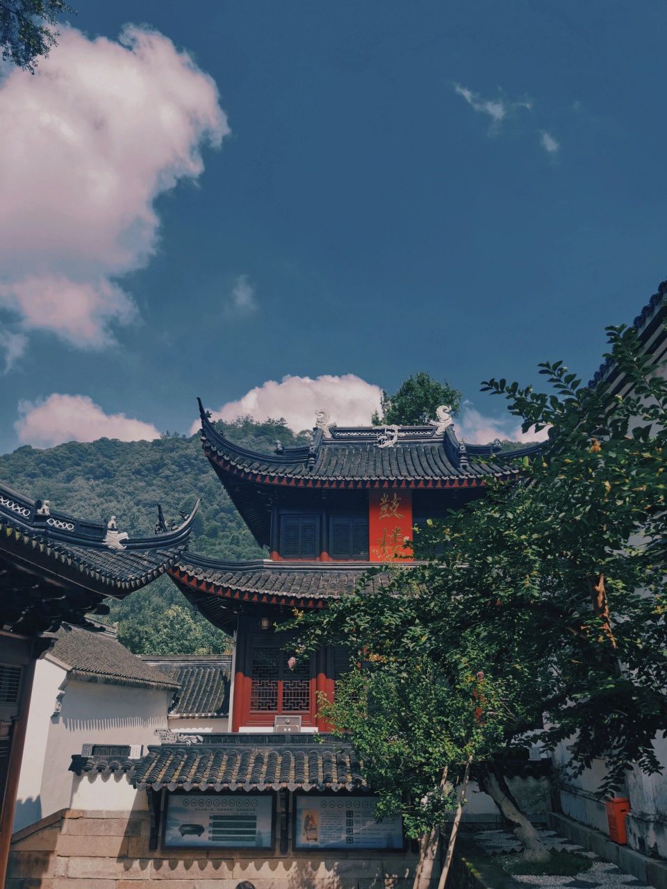 心静下来,多识草木 灵峰寺在群山环抱之中,寺前有参天古树,寺侧潺潺