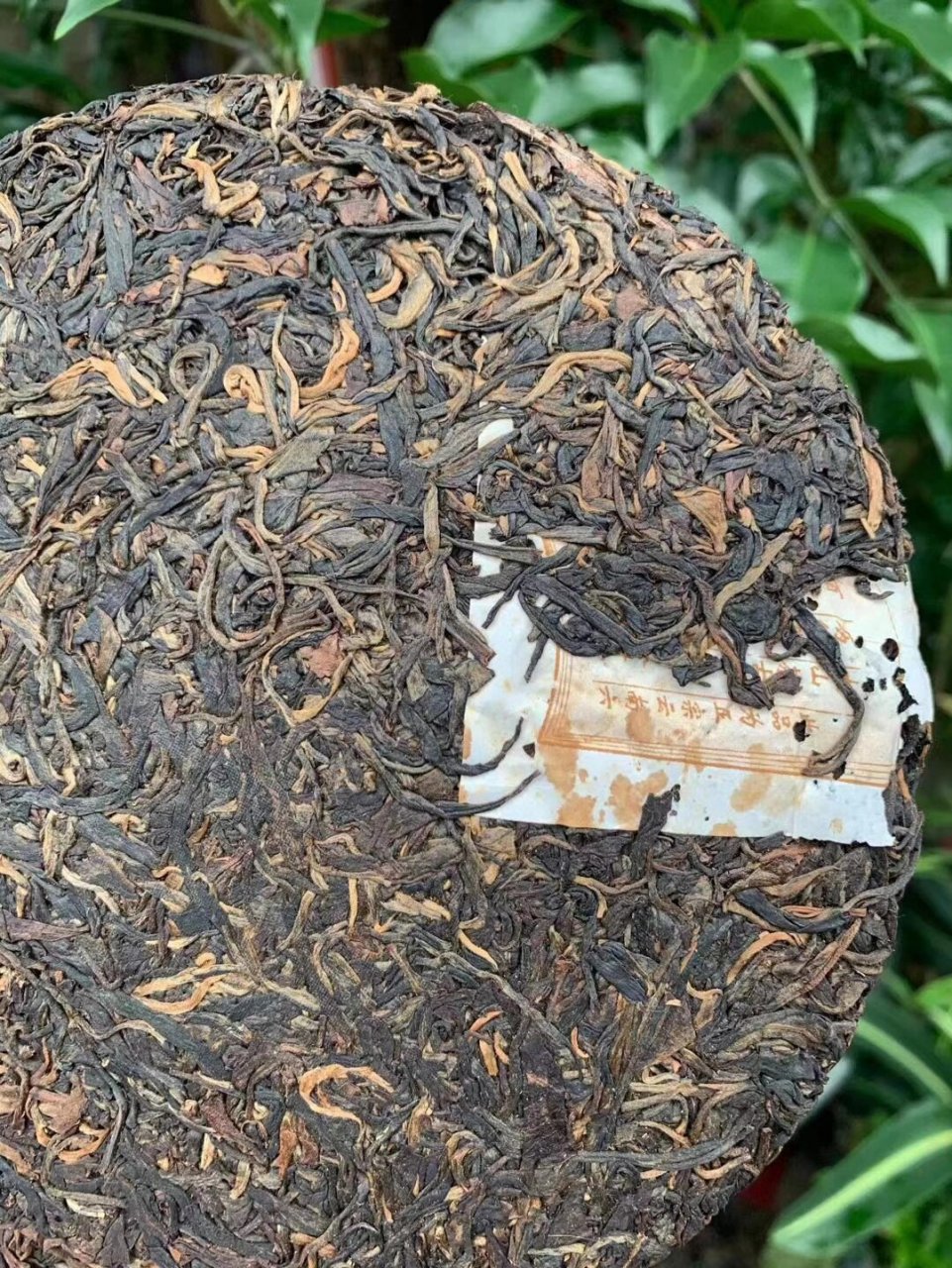 攸乐古树茶 2005年新荷号茶叶公司定制头春攸乐古树茶生饼,攸乐山被列