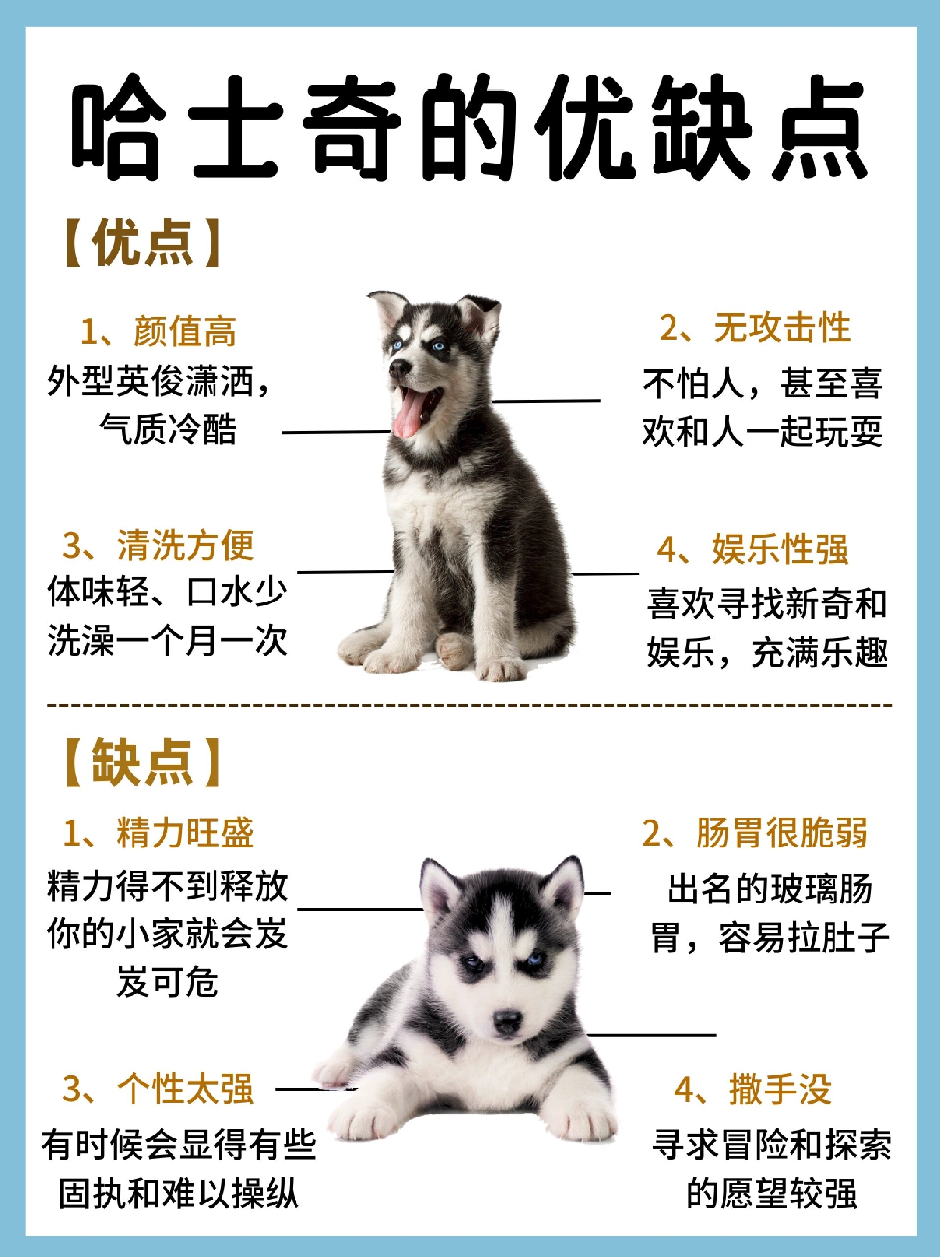 哈士奇为何被称二哈,这个典故很多都不知道