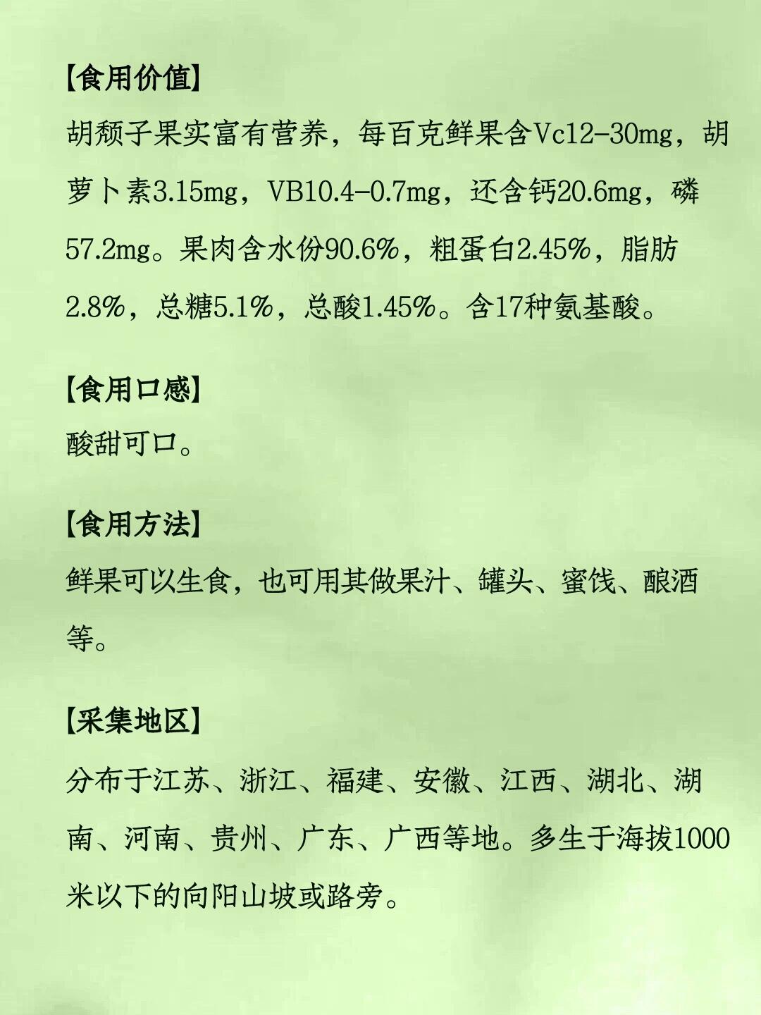 007|羊奶果 春天山林里的一种酸甜野果 7715 【最佳食用】2-4月份