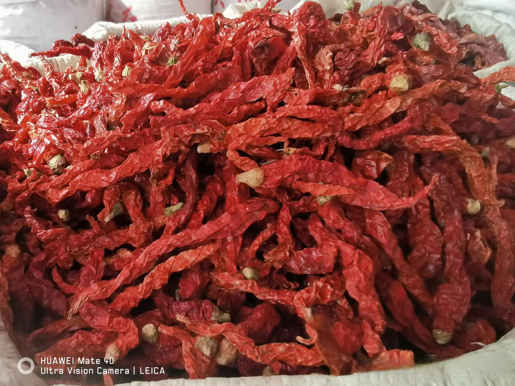 晒晒你家乡的特产 新疆安集海线辣椒,香辣型辣椒,主要用来做大盘鸡