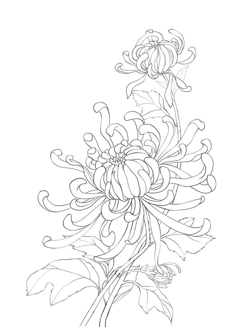 古风线描花卉九宫格 最近的原创线描花卉终于完成9张啦分别是月季
