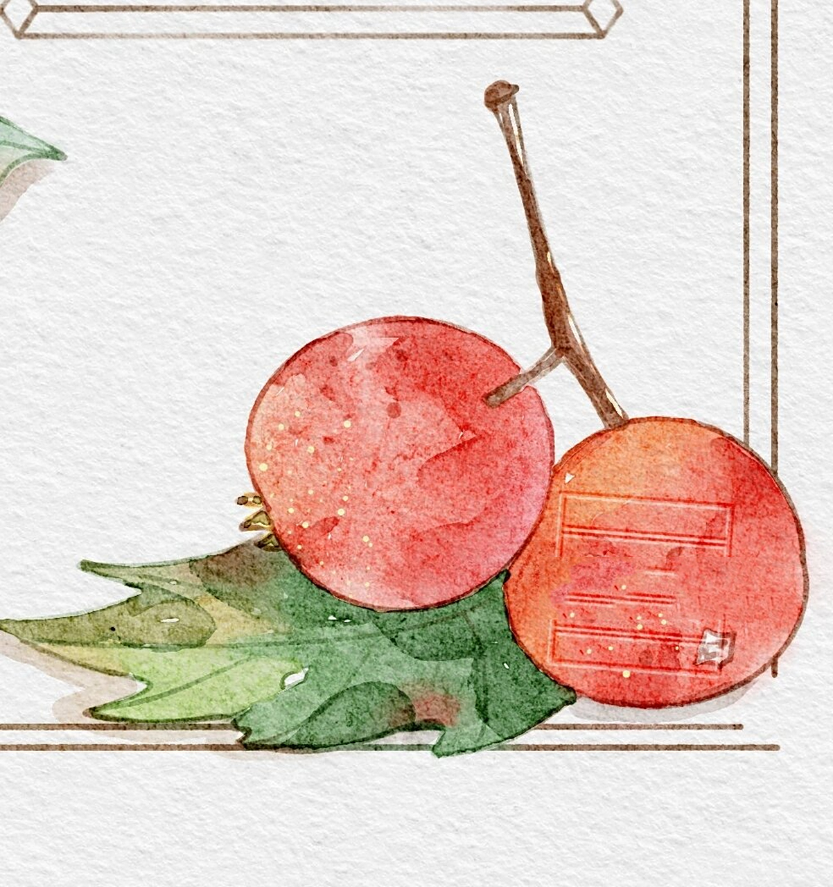 【本草纲目】水彩手绘图鉴-山楂 红红酸酸的山楂: 【采制】时珍曰:赤