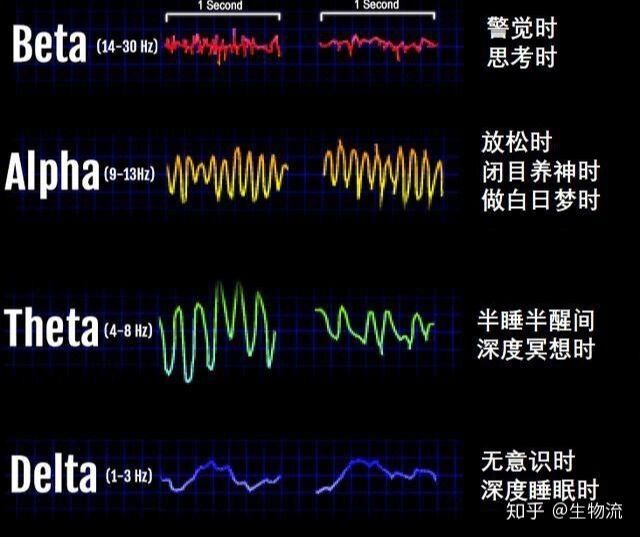 四种脑波图片