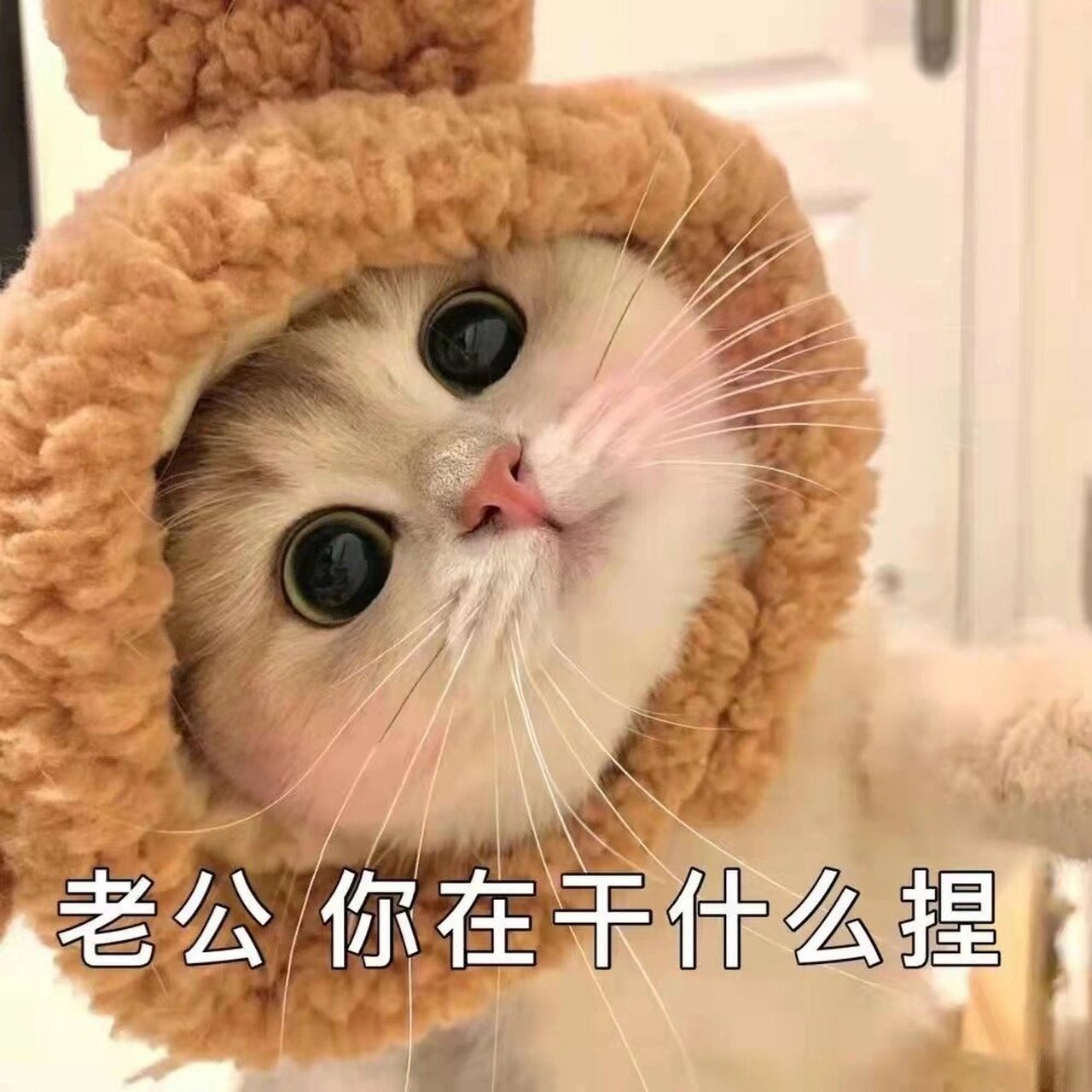 撒娇表情包,撩男朋友必备表情包