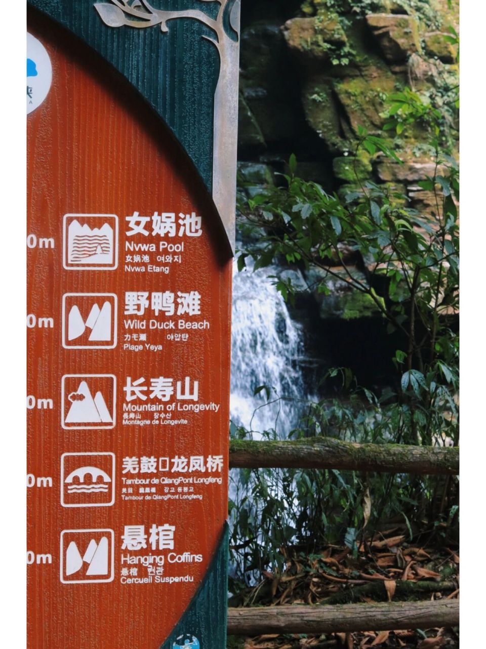 雅安碧峰峡旅游攻略 雅安碧峰峡攻略来咯~我们没有选择自驾到了雅安