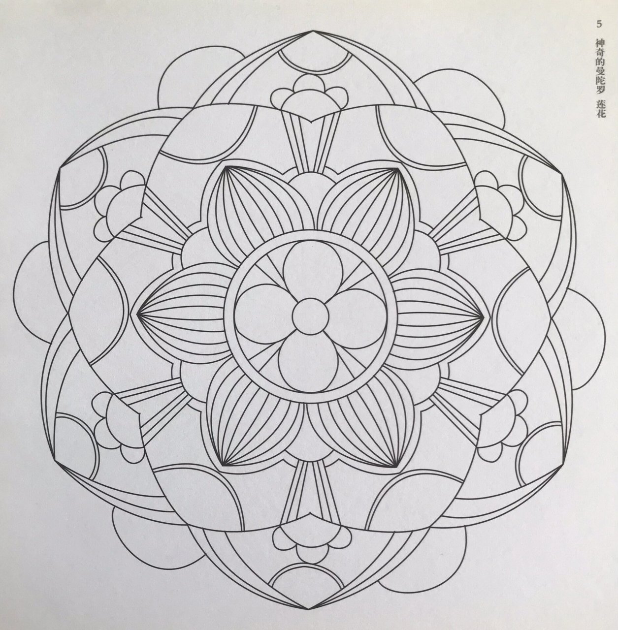 曼陀罗花绘画线稿设计笔控180款1-5 180款曼陀罗绘画持续更新1-5款 仅