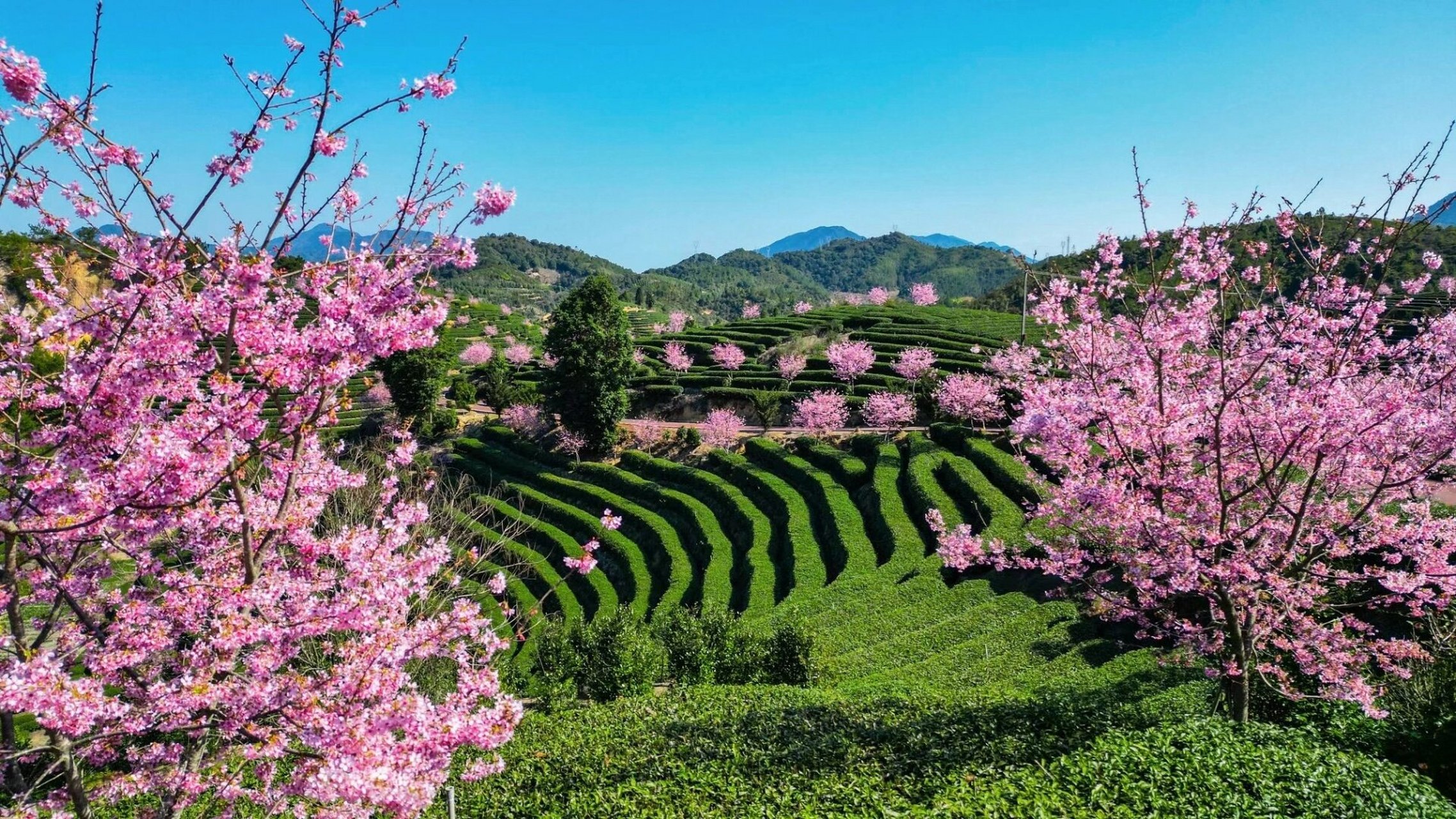 漳平美景图片