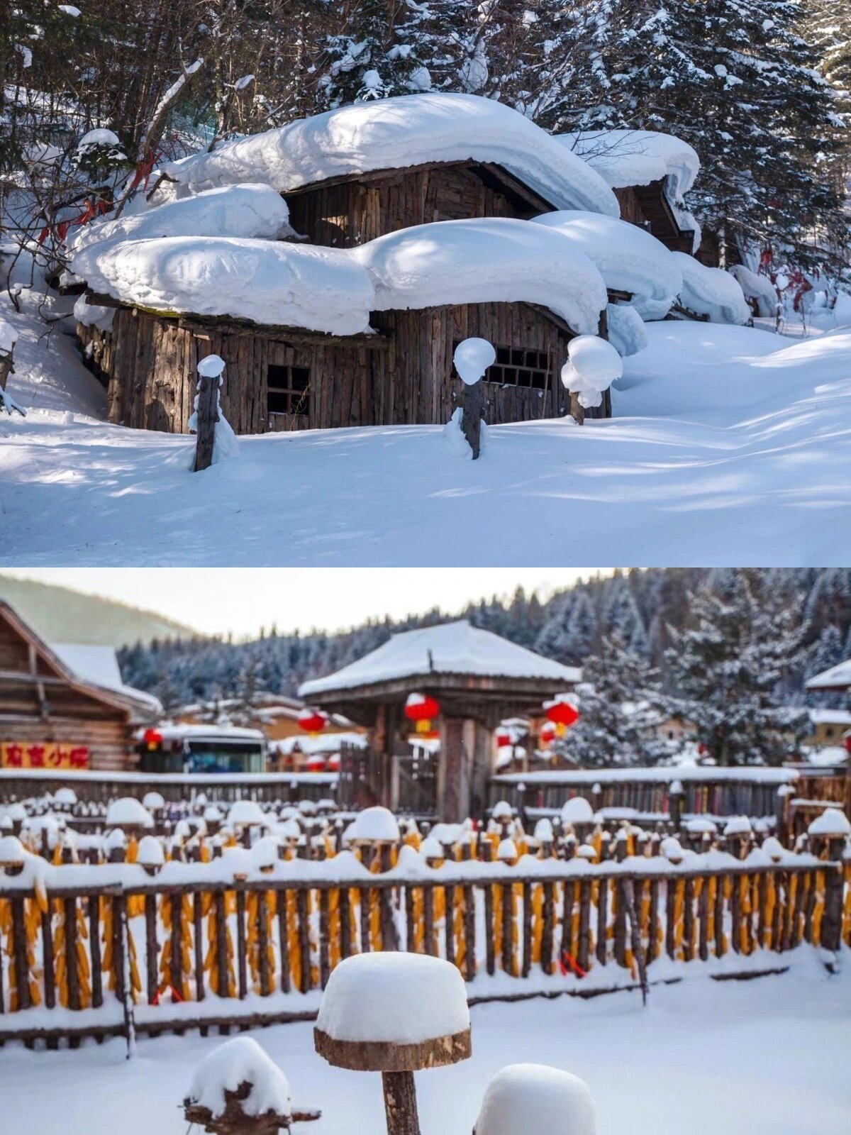 98强烈推荐:冬天必游的雪乡 漠河!7675