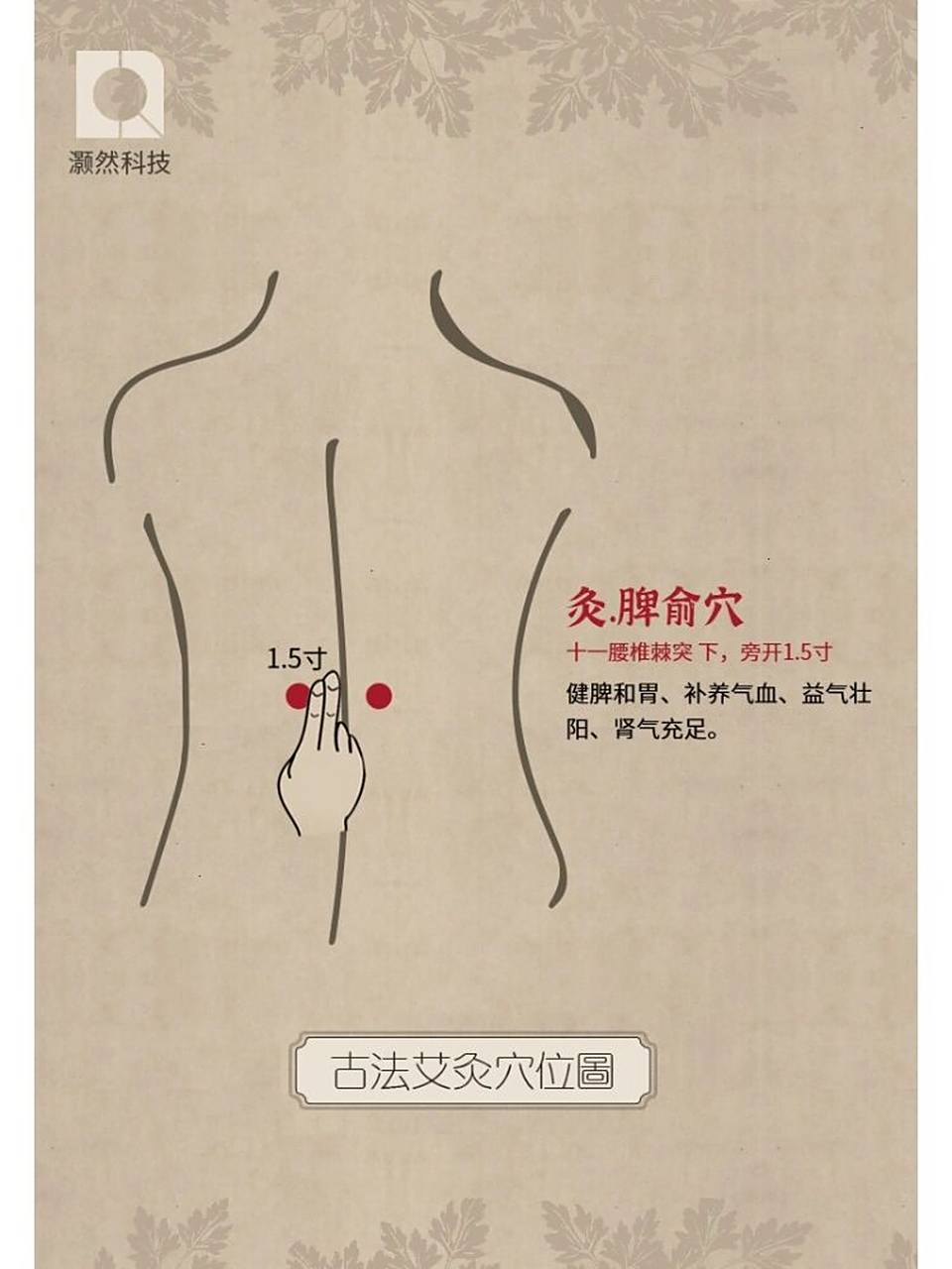 健康养生 认穴识灸 | 脾俞穴 穴位释义 脾俞穴出《灵枢.