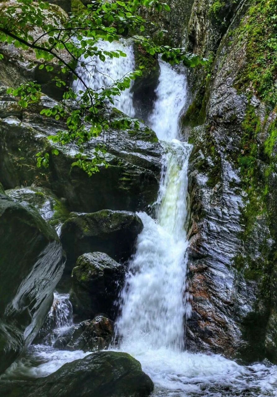 西安周边游 | 避暑氧吧:牛背梁一日游        想去一个不太累的爬山