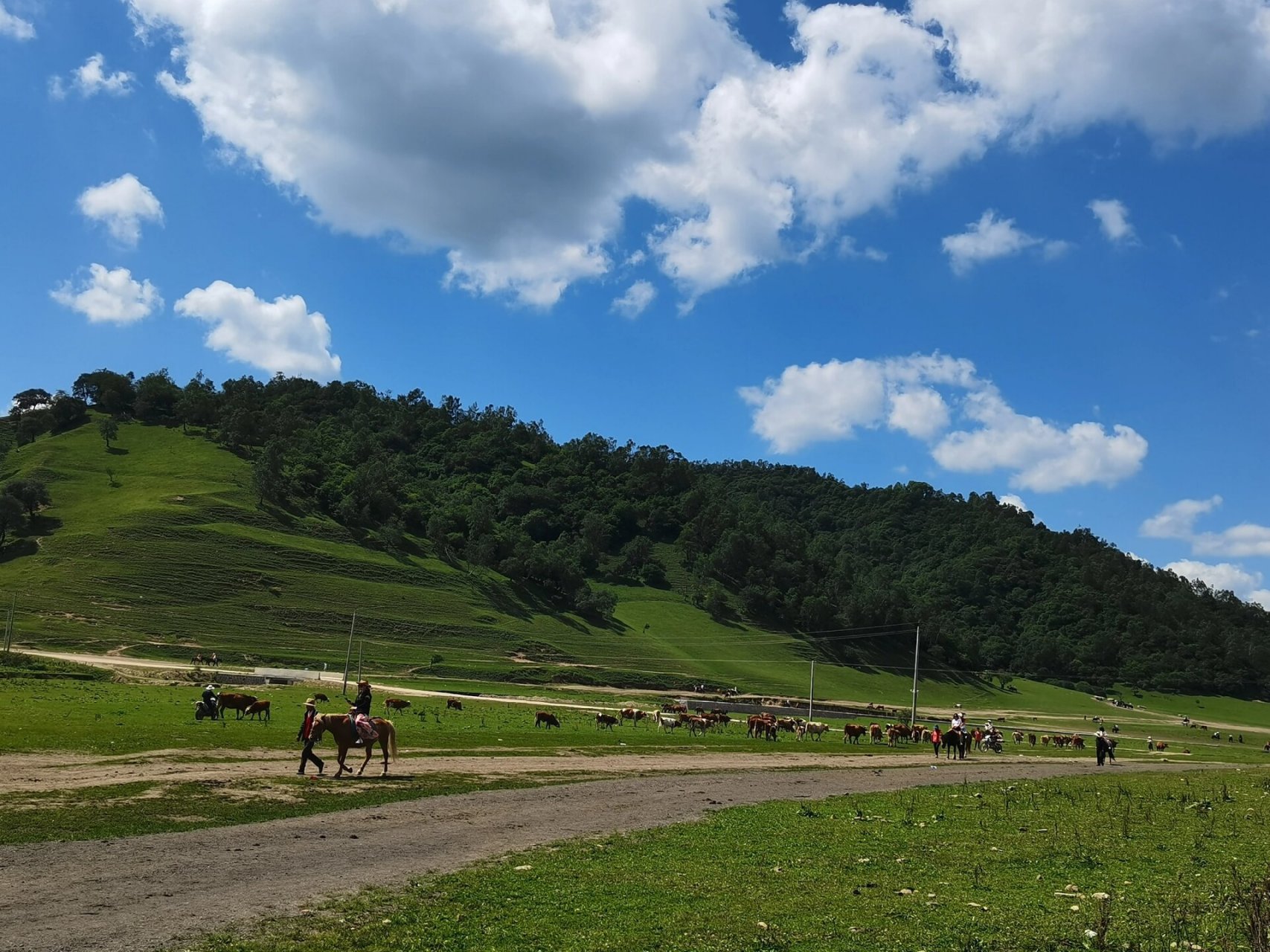 关山草原风光 关山草原体验很一般哦,从陇县到关山草原中心地带在不